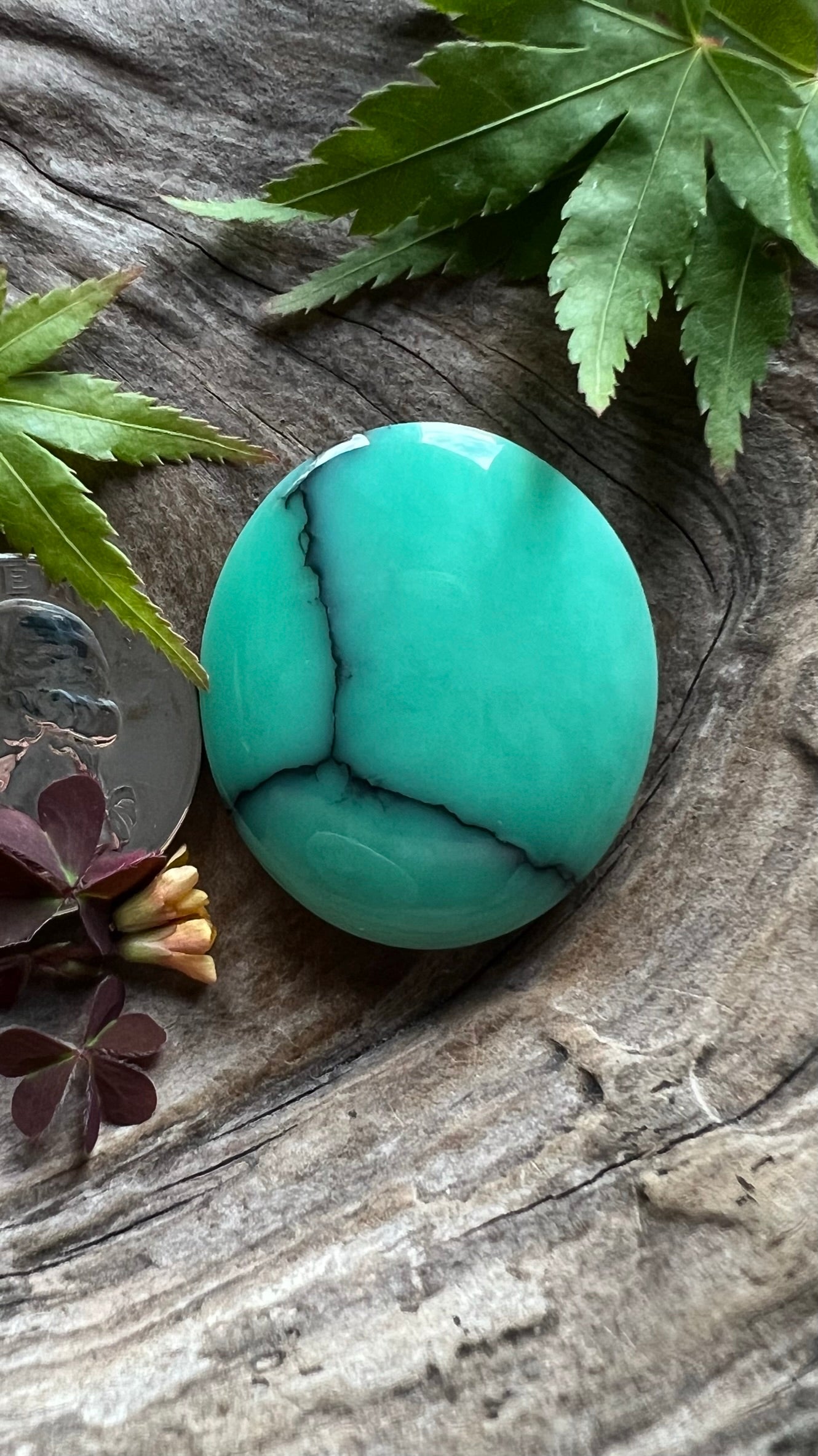 Desert Bloom Variscite BIG BEAUTIFUL BERTHA!!!!