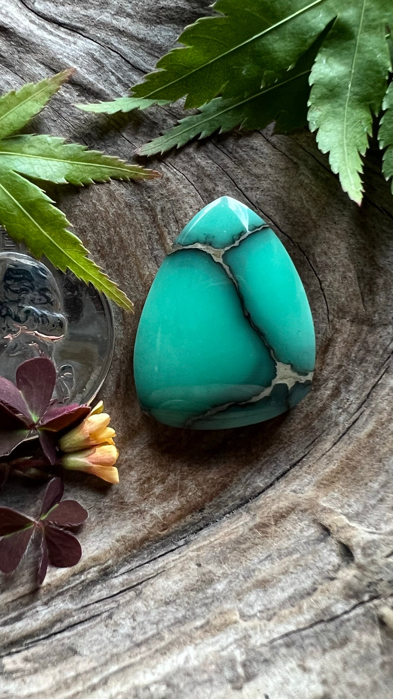 Desert Bloom Variscite ~ A Big Beauty!!!