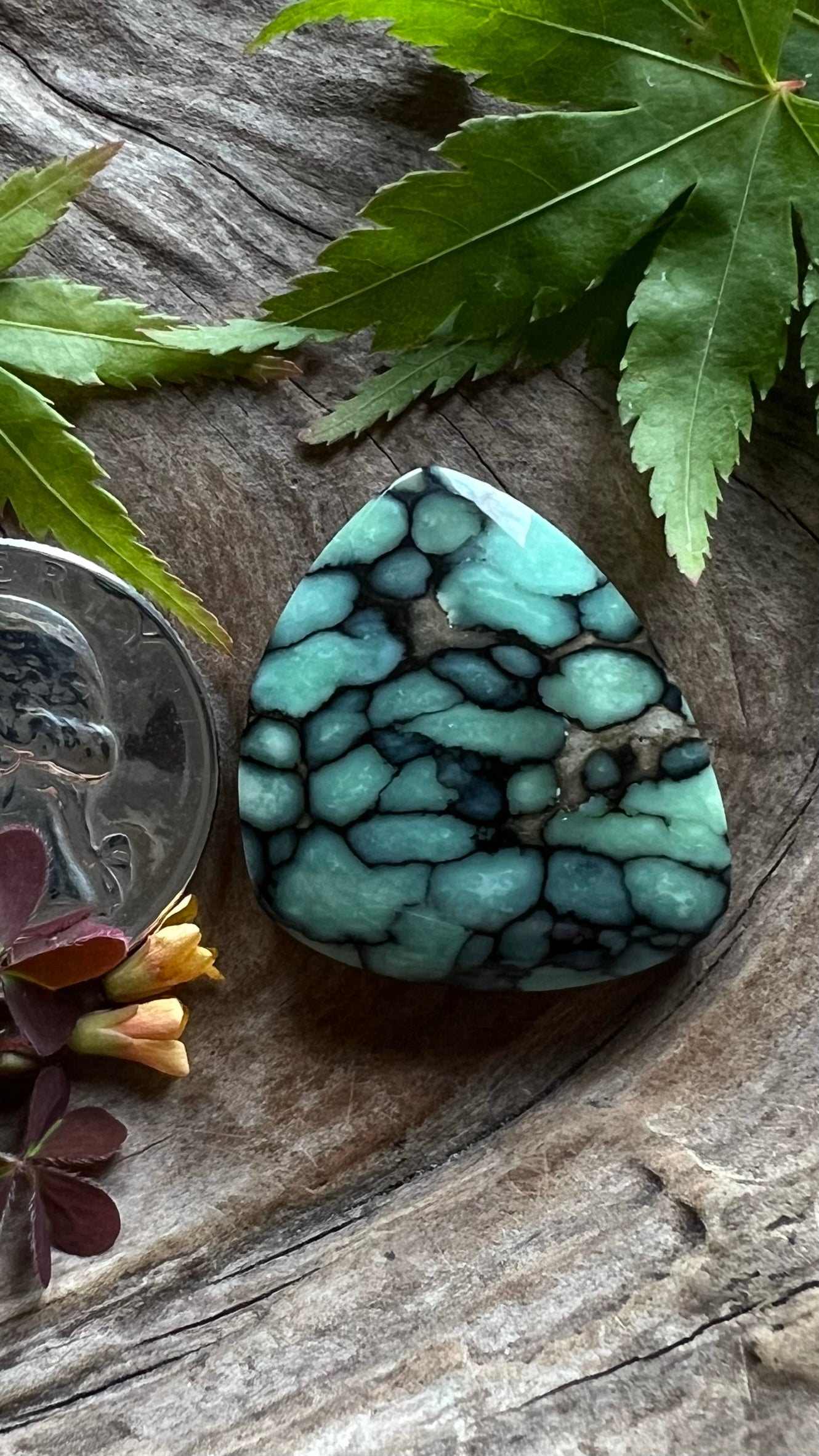 Desert Bloom Variscite ~ Big Tight Webbed Beauty