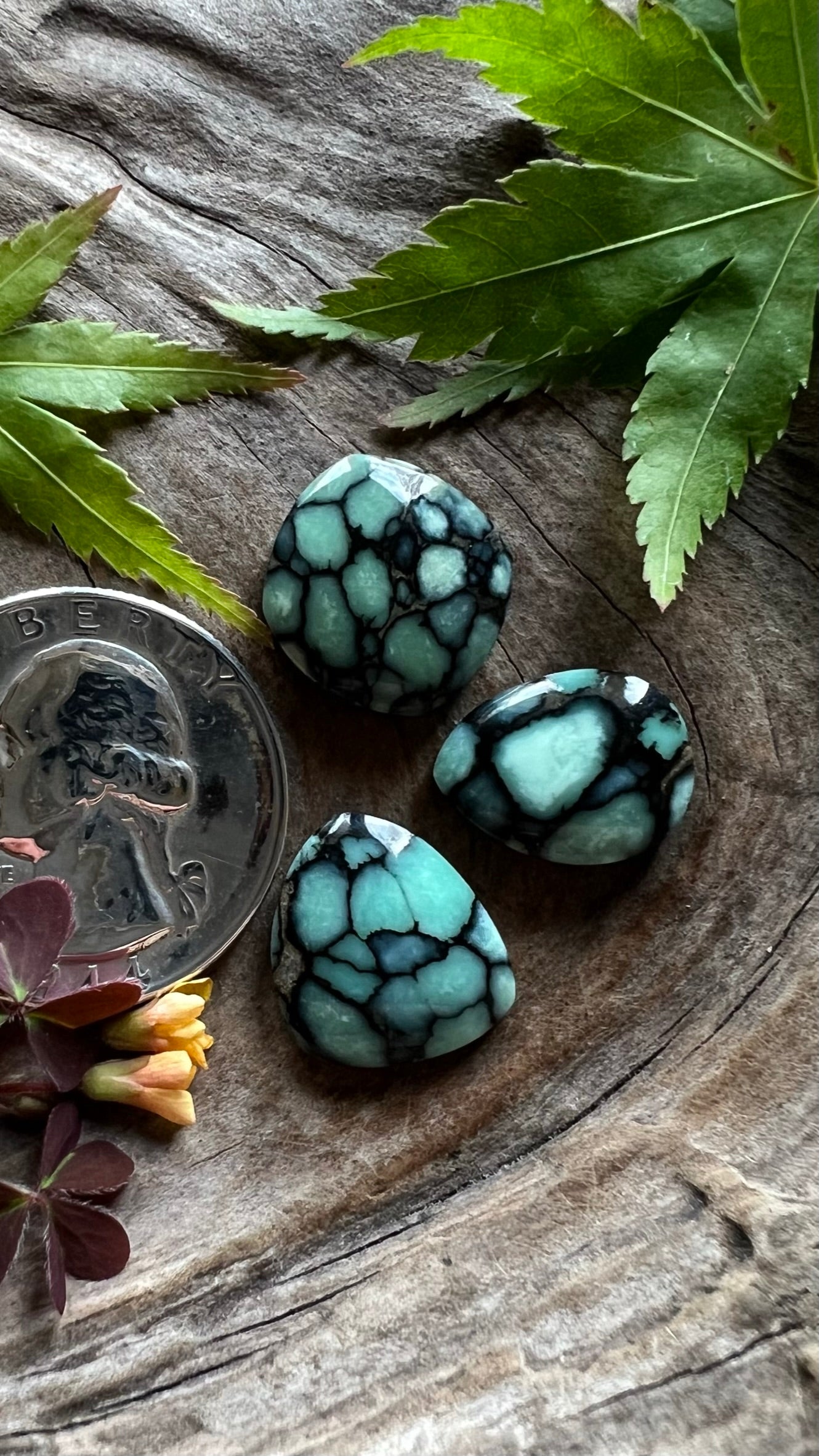 Desert Bloom Variscite Trio ~Gemmy Black Goodness