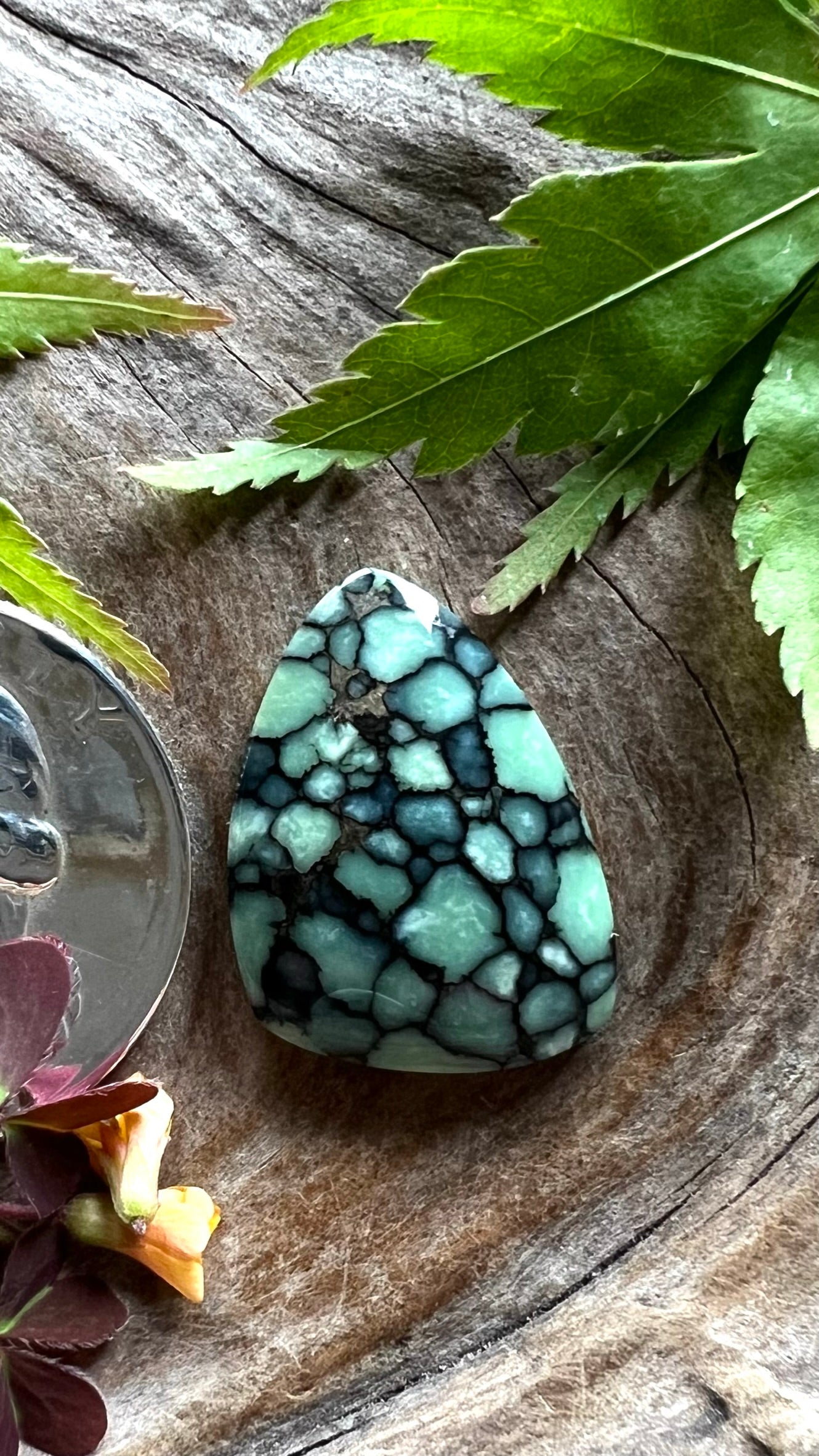 Desert Bloom Variscite ~ Black Tight Web