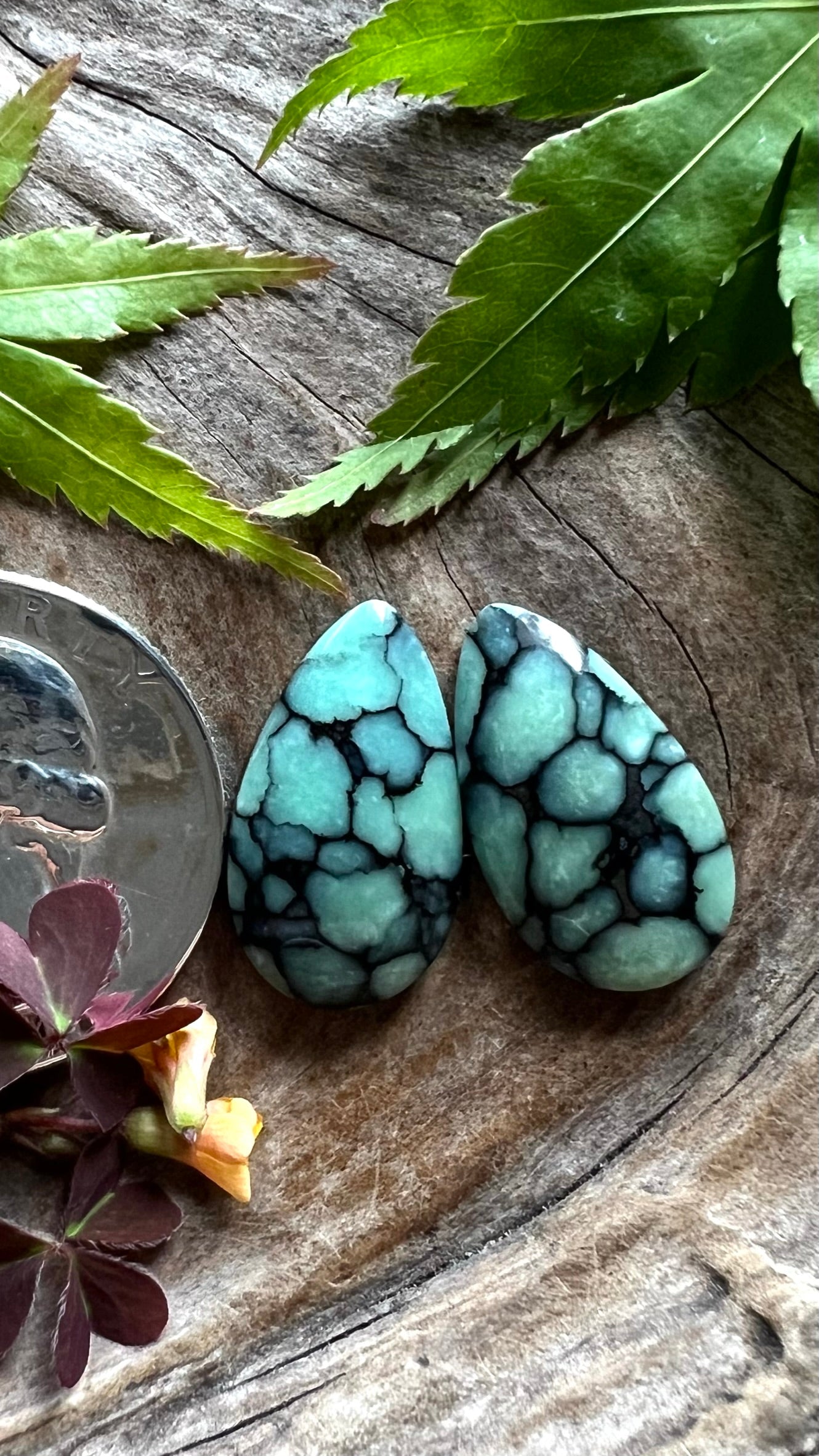 Desert Bloom Variscite Pair ~ New Black Tight Web