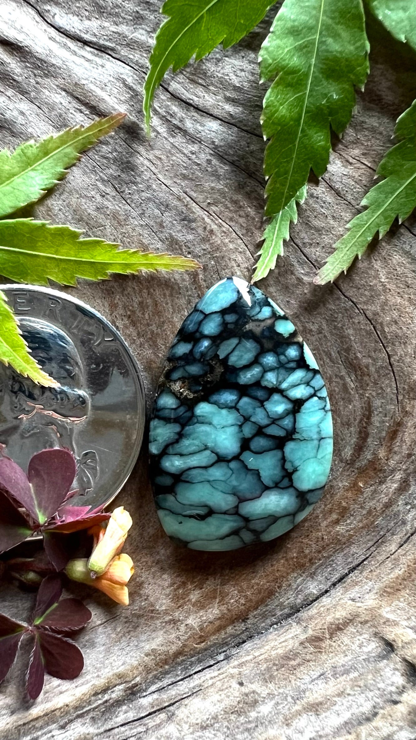 Desert Bloom Variscite ~ New Black Tight Web
