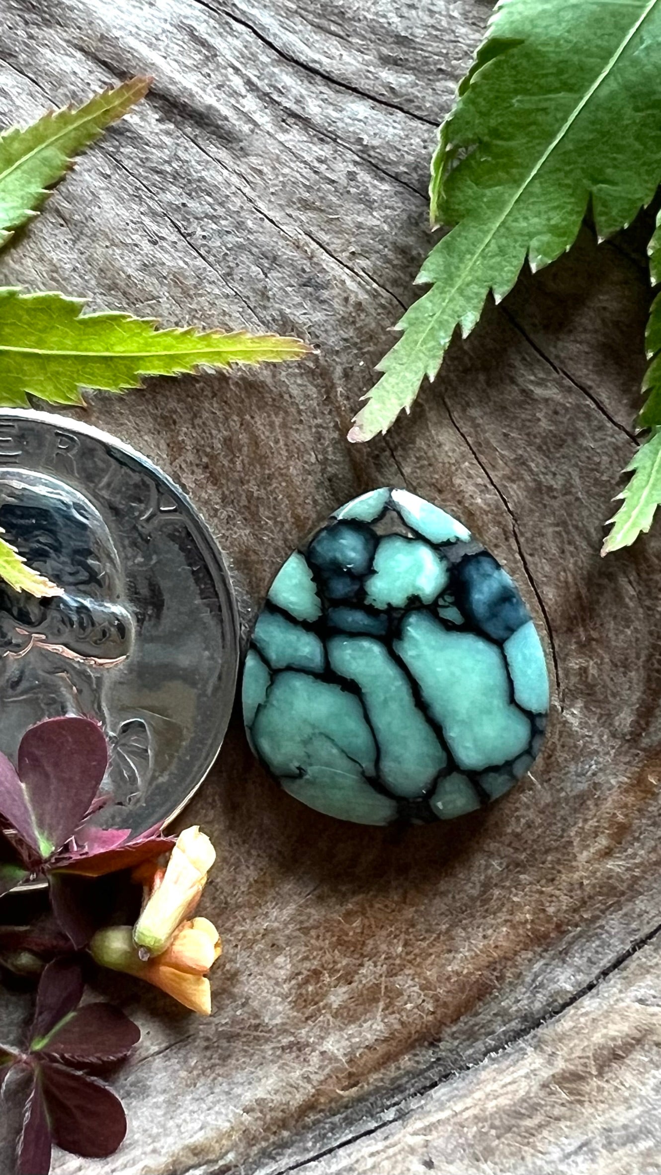 Desert Bloom Variscite ~ New Web ~ Perfect Ringer