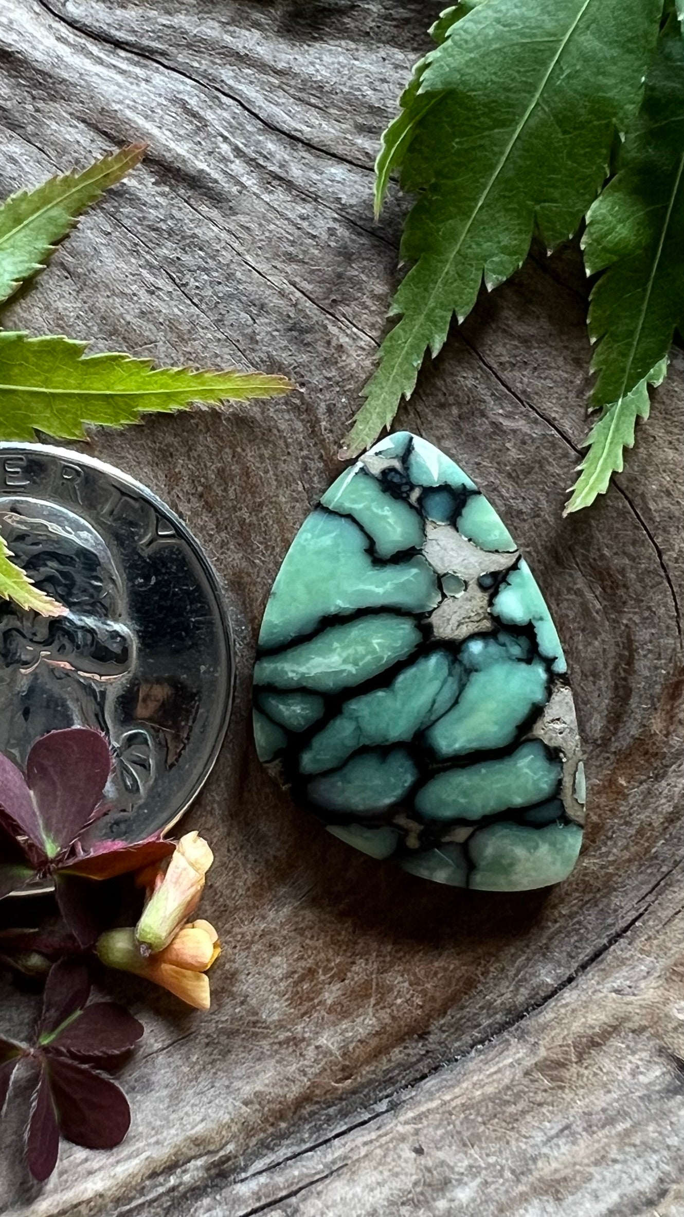 Desert Bloom Variscite ~ New Web