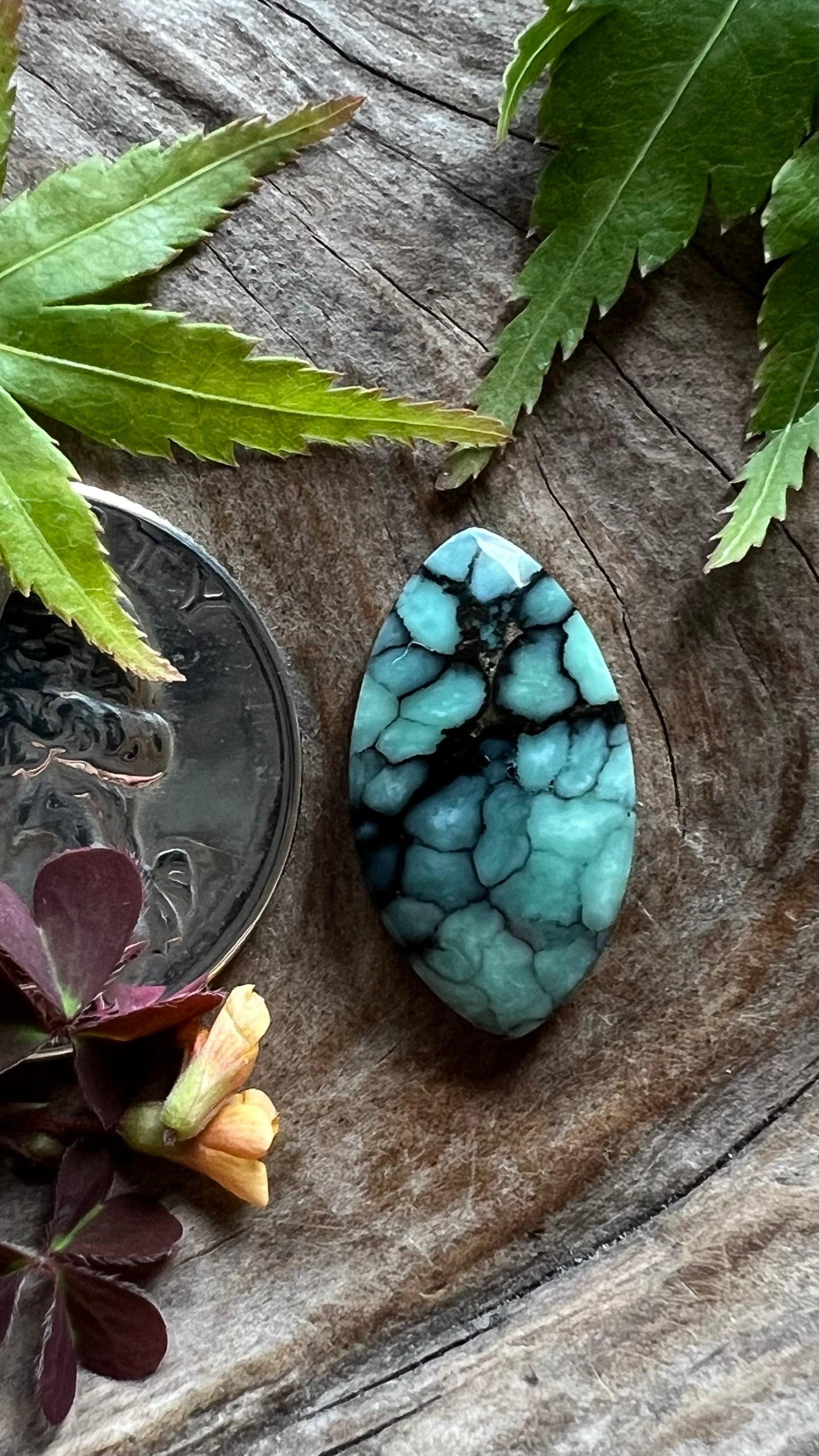 Desert Bloom Variscite ~ New Web ~ Perfect Ringer