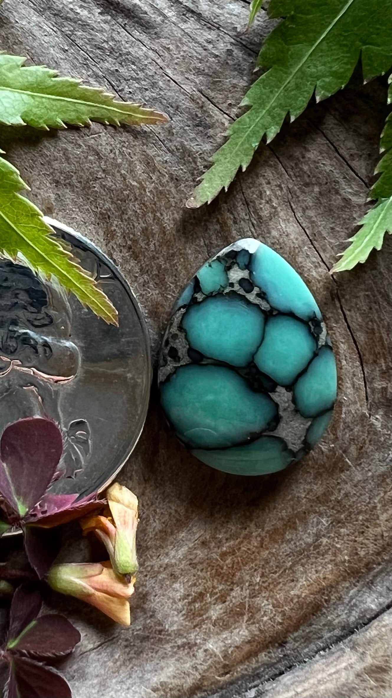 Desert Bloom Variscite ~ New Web ~ Perfect Ringer