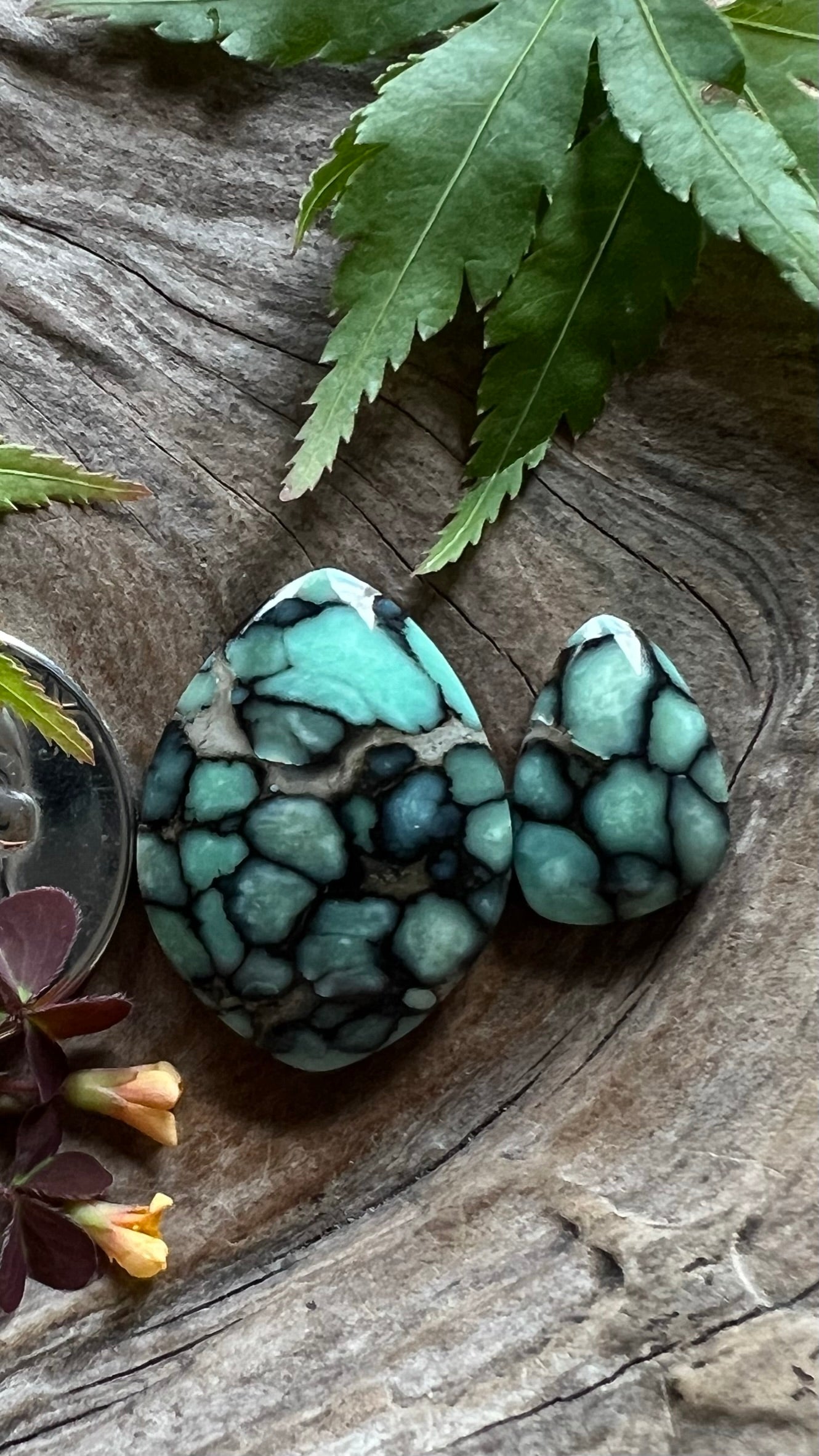 Desert Bloom Variscite DUO ~ New Web
