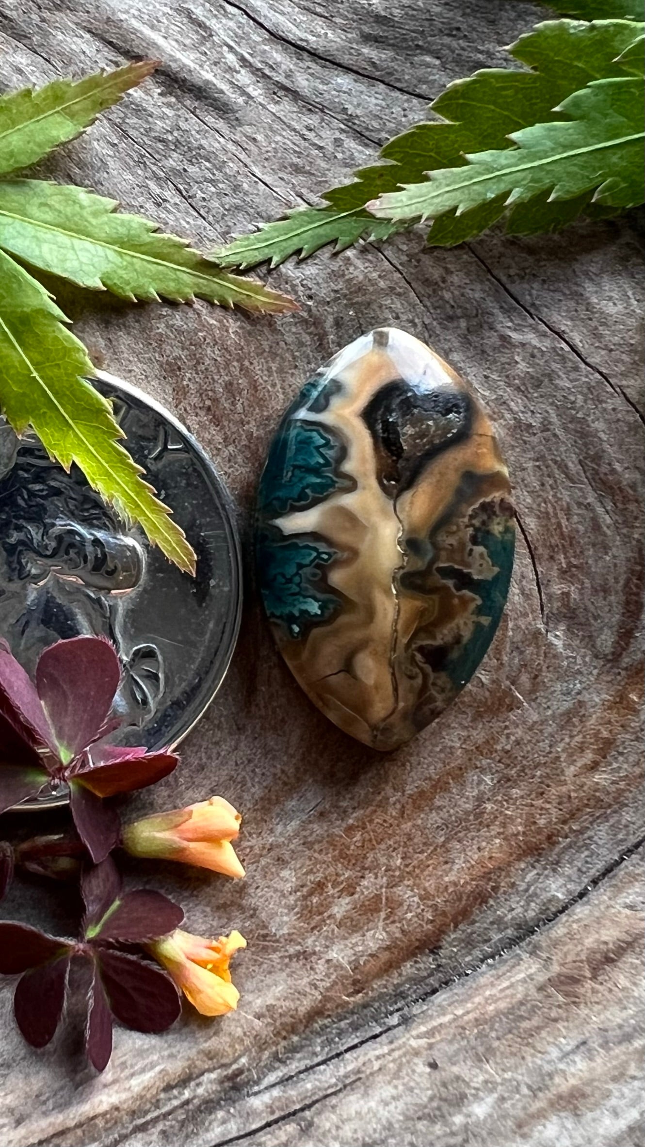 Mean Green Seam Jasper ~ Idaho