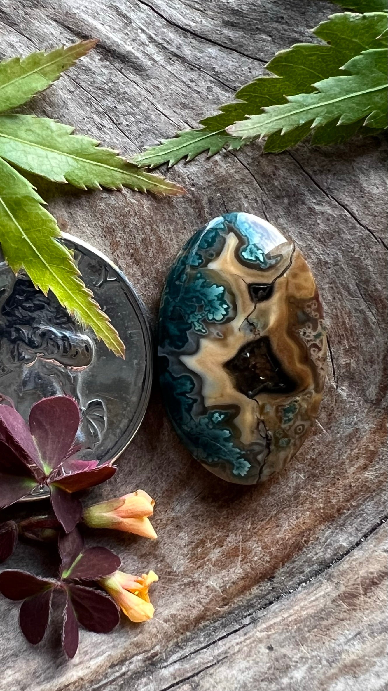 Mean Green Seam Jasper ~ Idaho