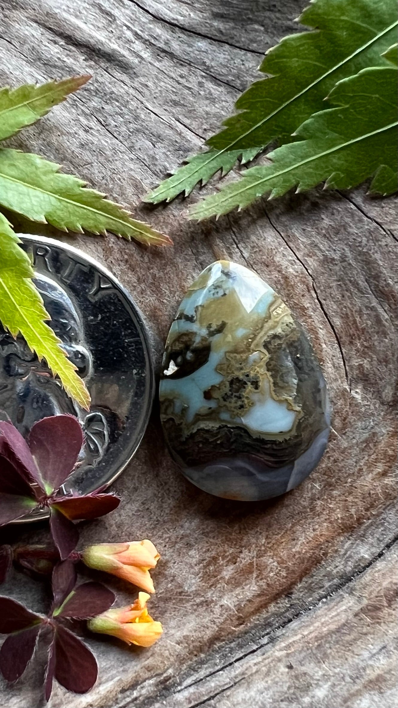 Idaho Purple Seam Agate ~backed