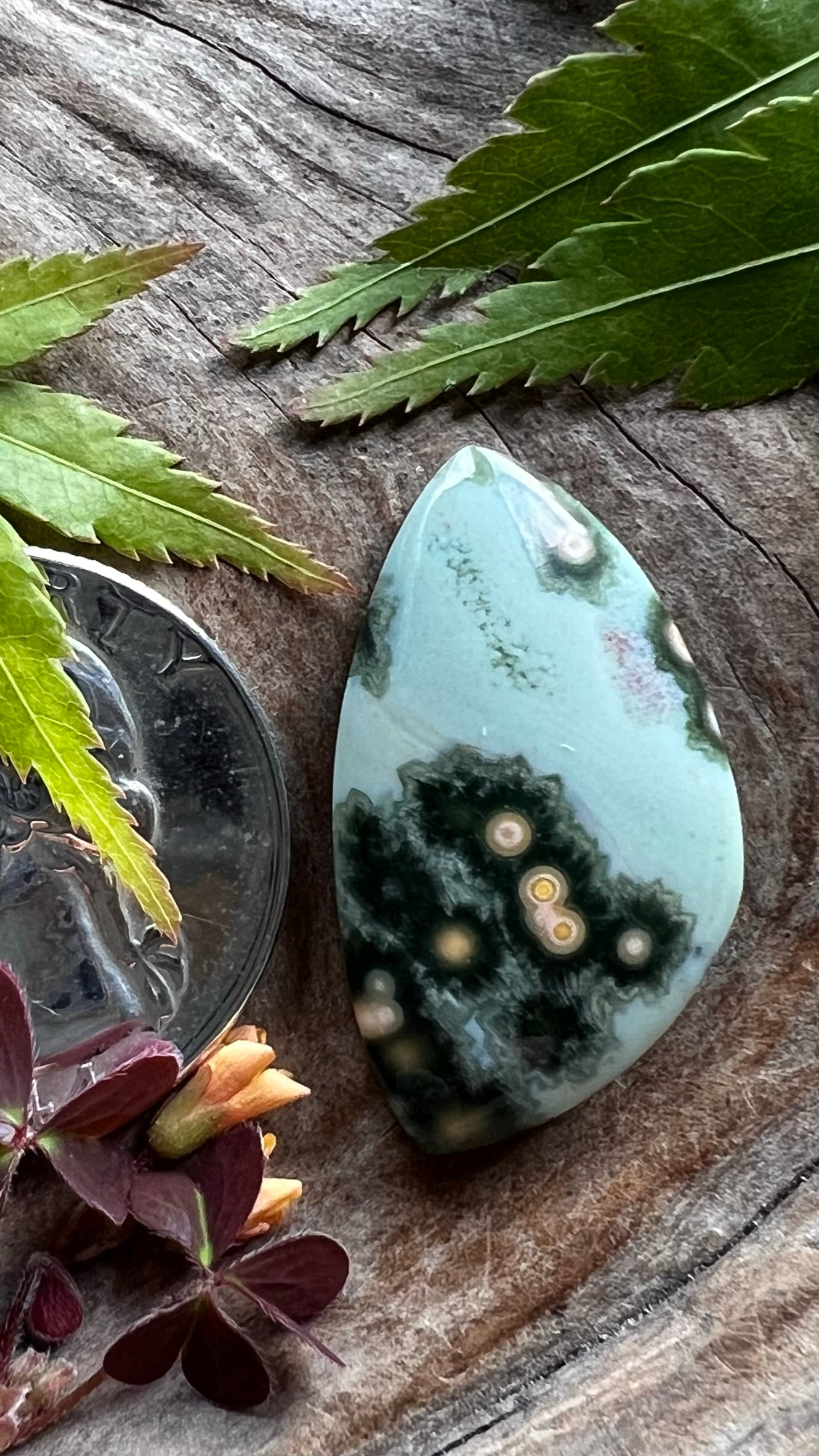 Ocean Jasper ~ Sooo good