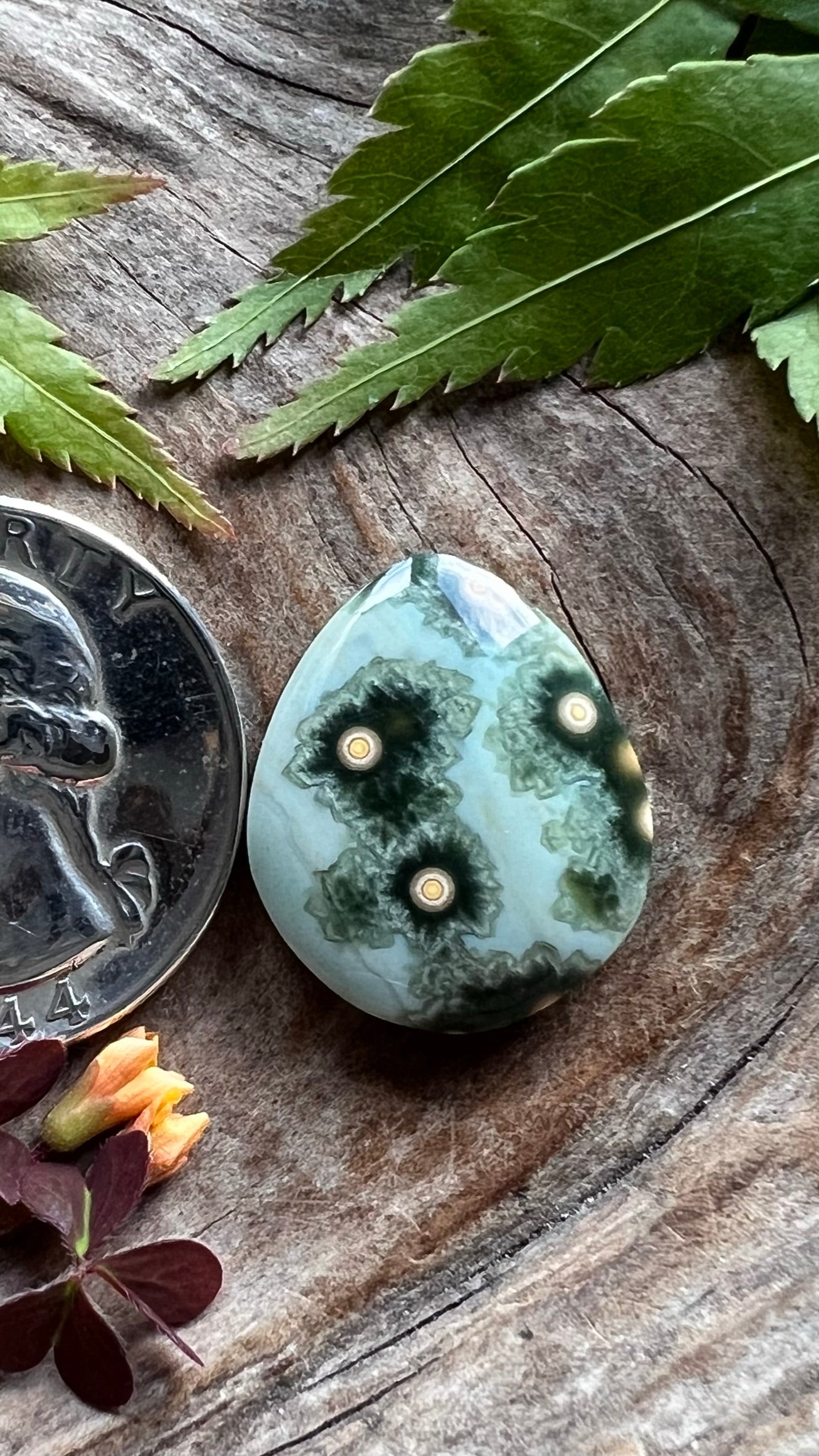 Ocean Jasper ~ Perfect Ringer
