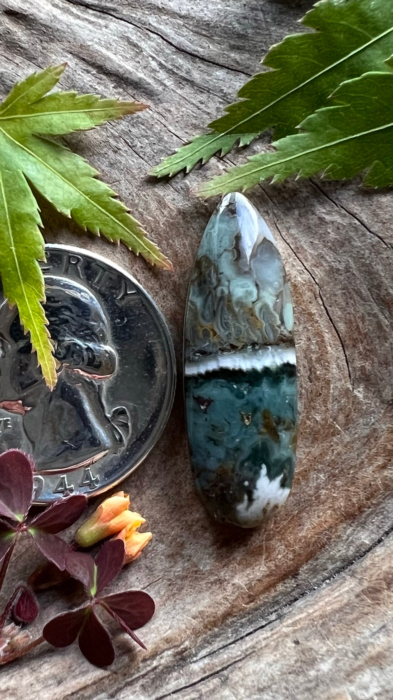 Prudent Man Agate