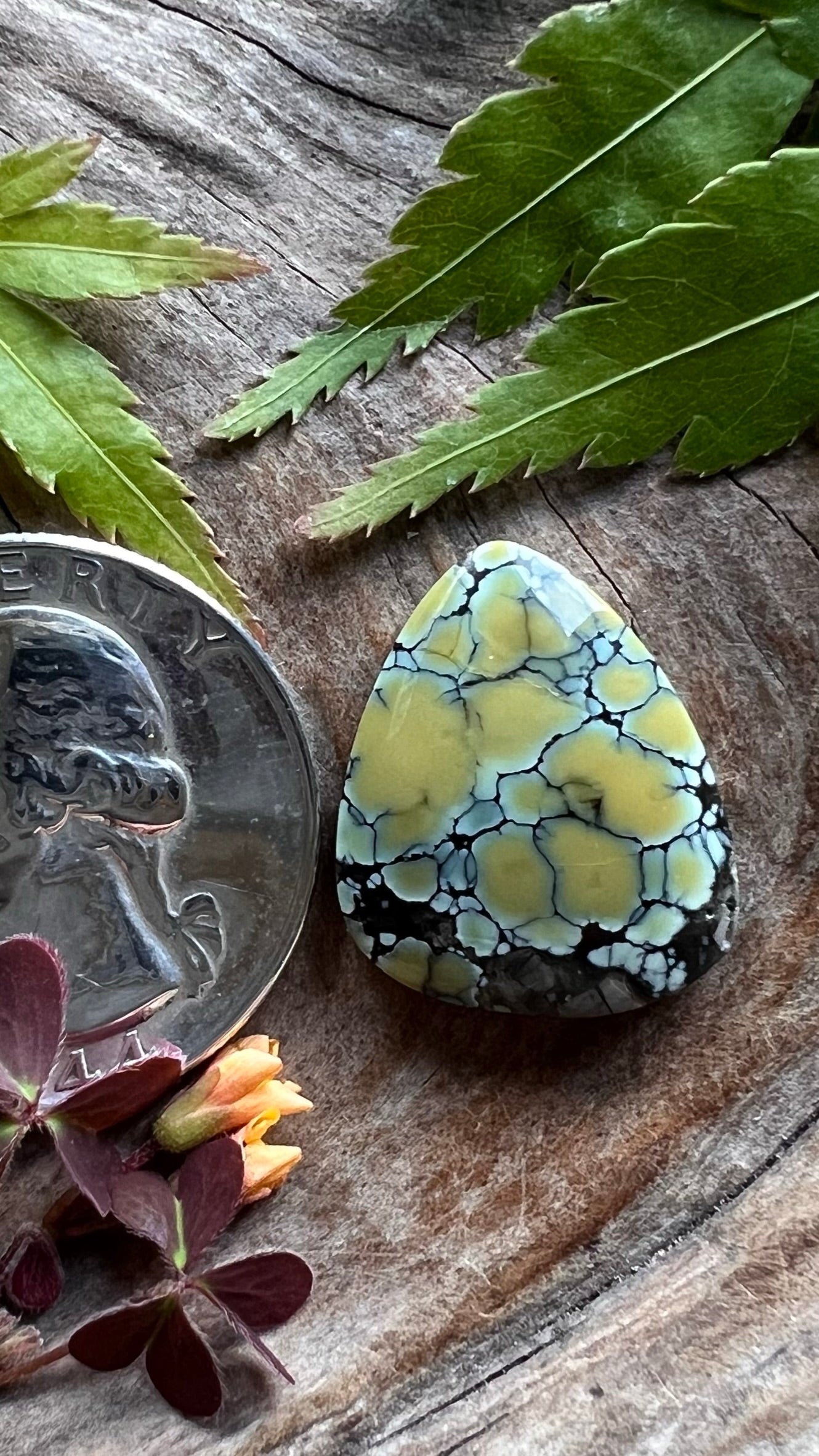 Colina Verde Variscite ~ The OLD Goodie Goodie
