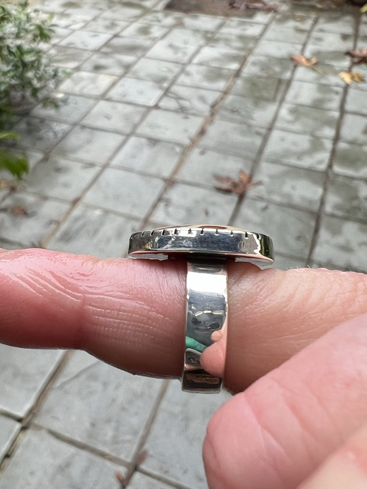 Red Falcon Jasper Ring ~ Size 4.25-4.5