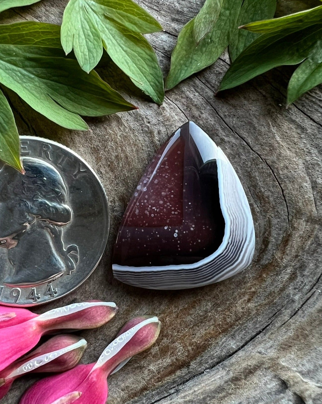 Swazi Agate ~ Africa
