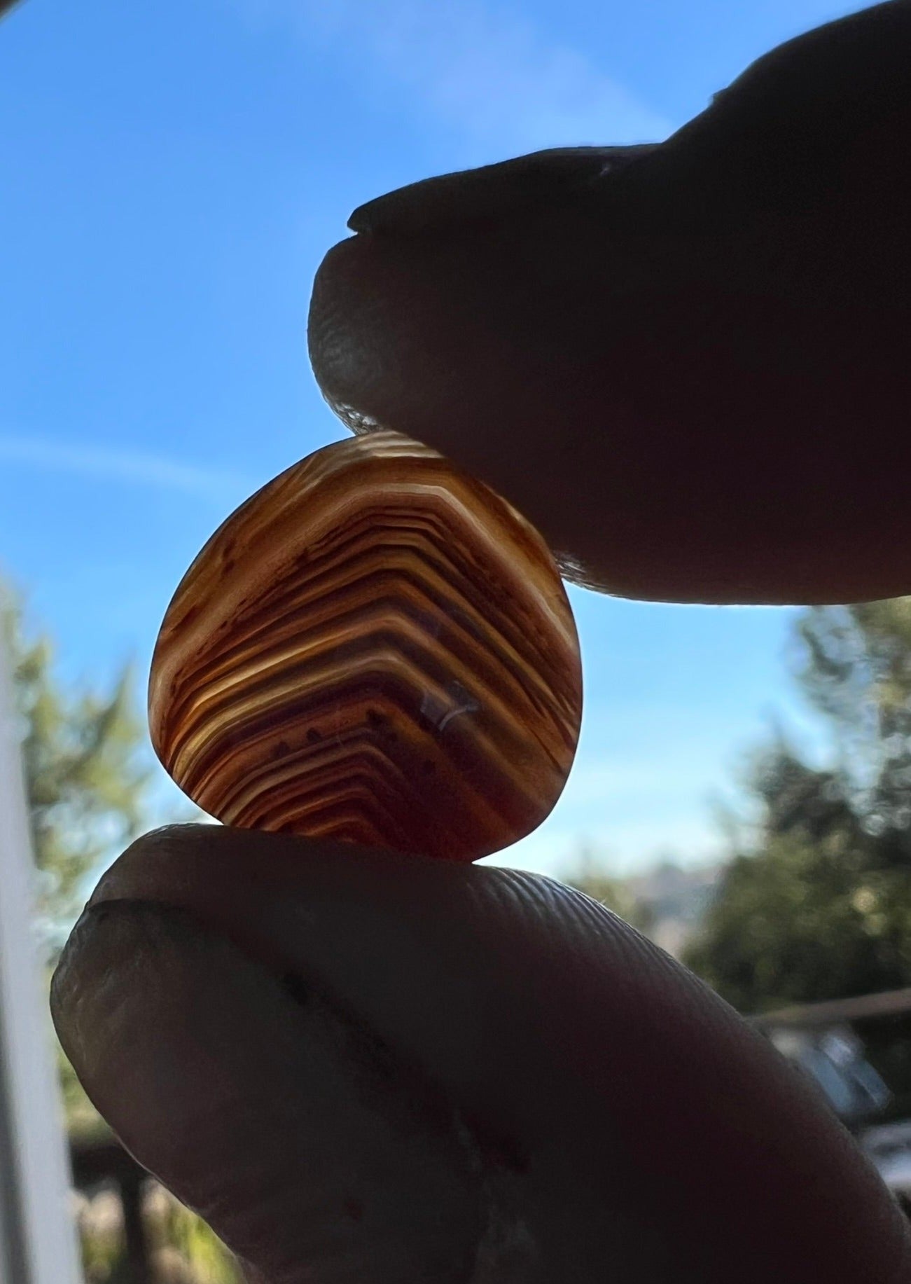 Lake Superior Agate ~ Awesome banding