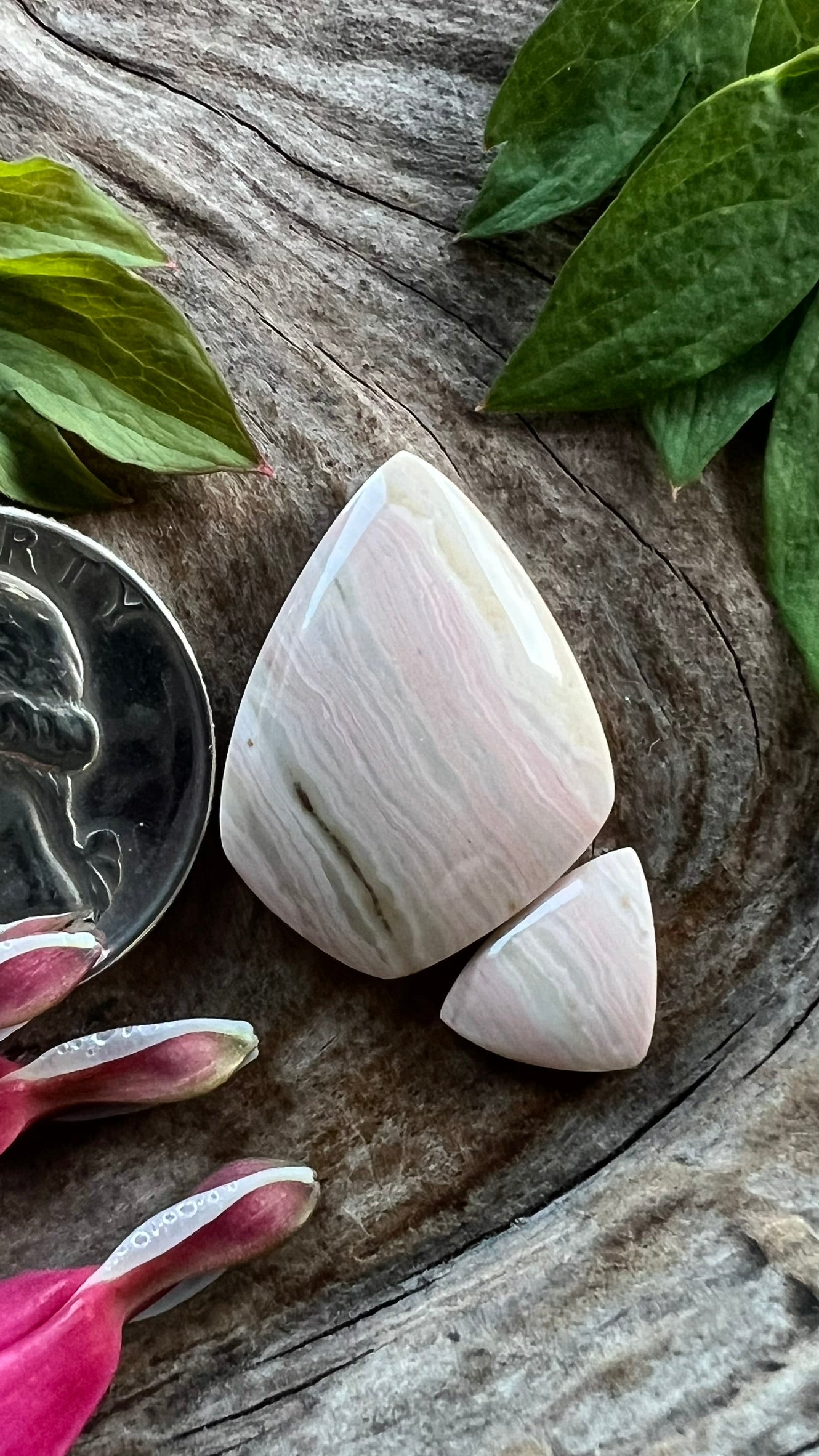 Oregon Sunset Jasper Duo ~Pastel bacon variety!