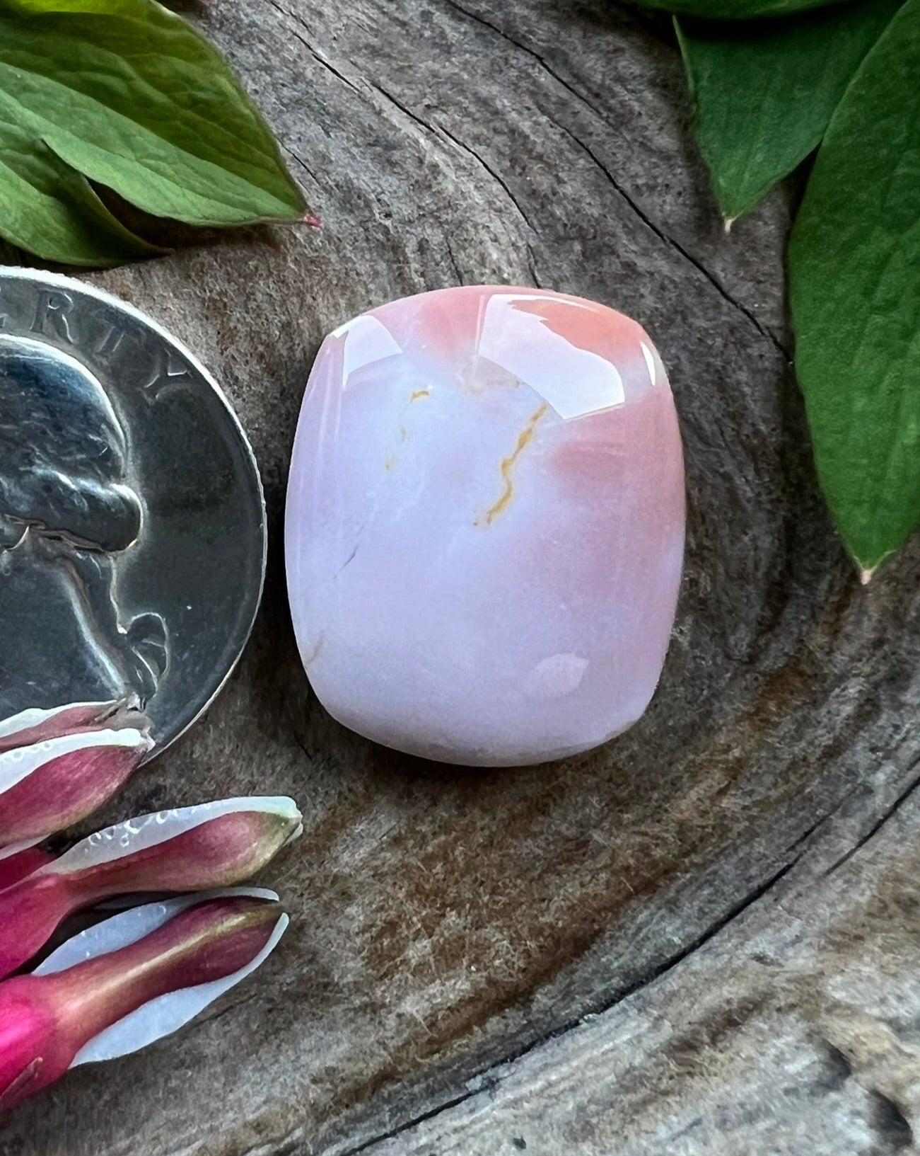 Oregon Sunset Jasper ~ Pink/Purple/Perfection