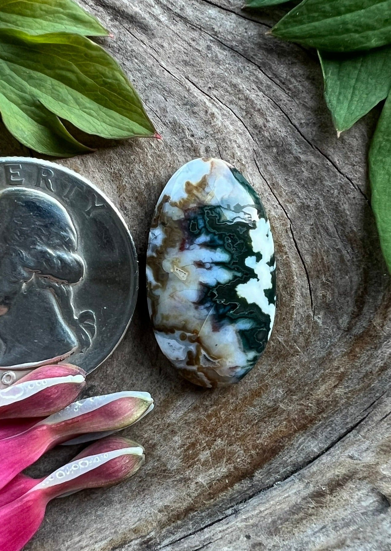 Forest Green Plume Agate ~ Idaho
