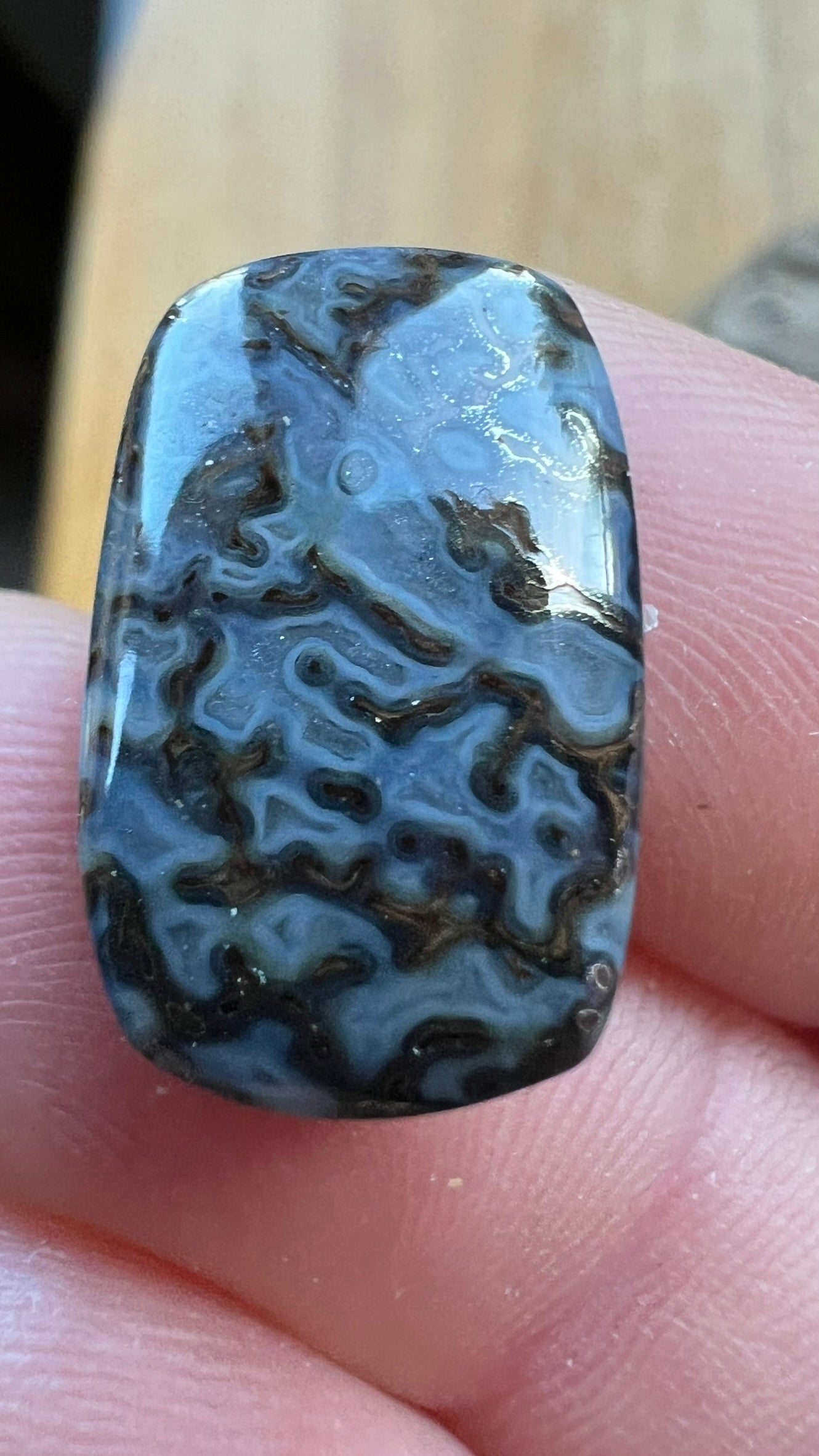 Dino Bone ~ Metallic ~ Montana