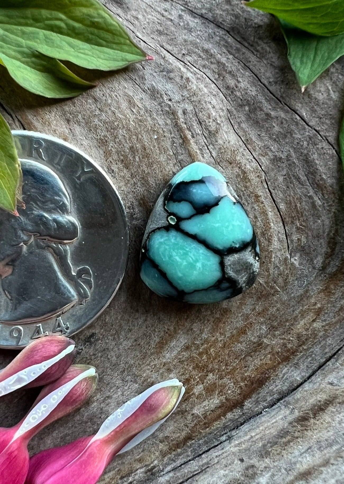 Desert Bloom Variscite ~ The Juice ~ RIP ROD