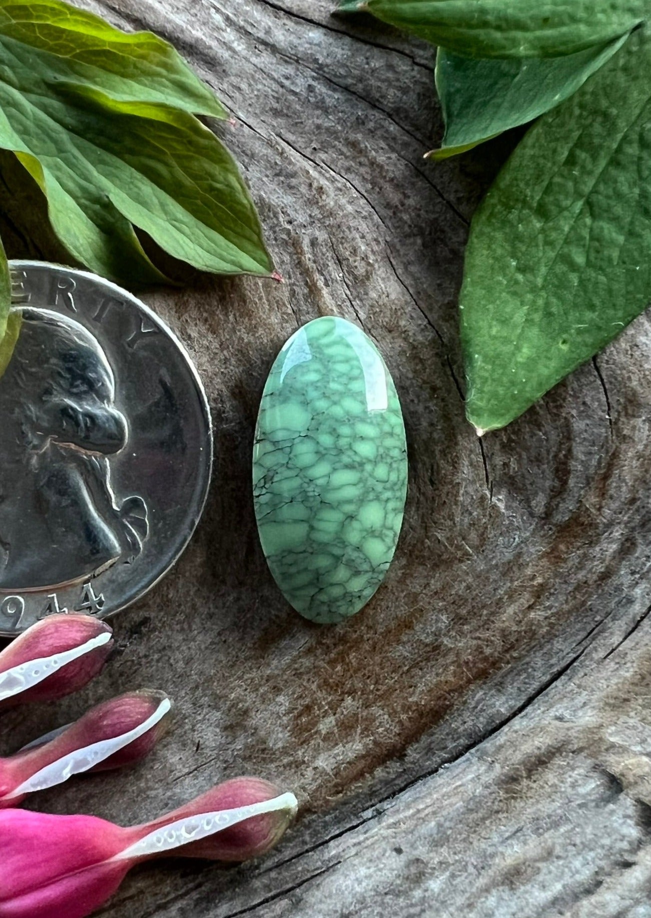 Snowville Variscite ~ Microweb ~ Utah