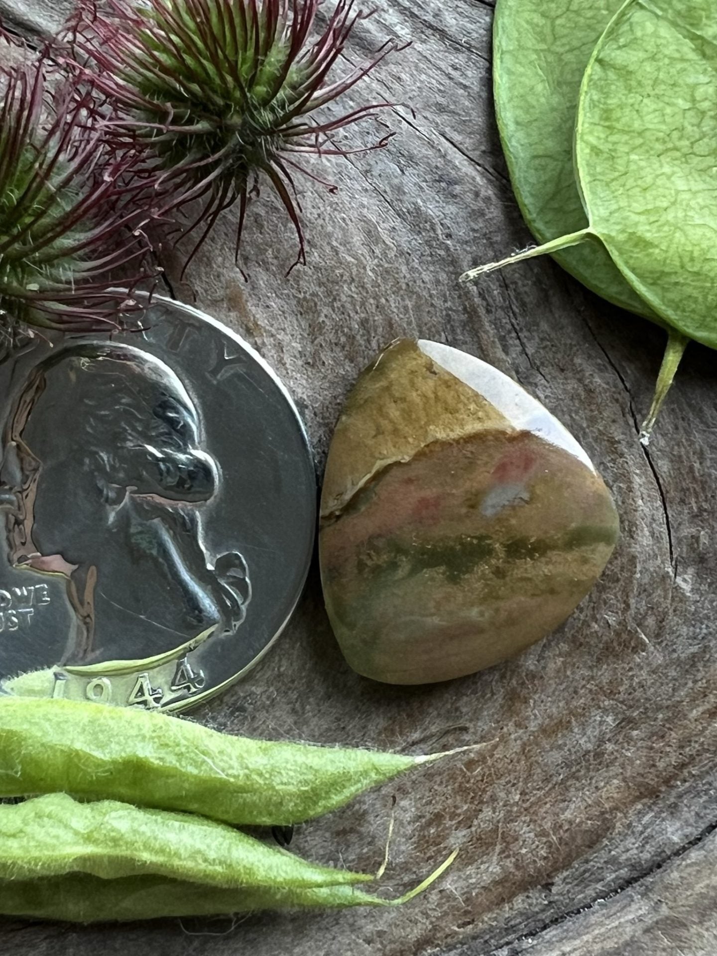 Vistaite Jasper ~ Oregon