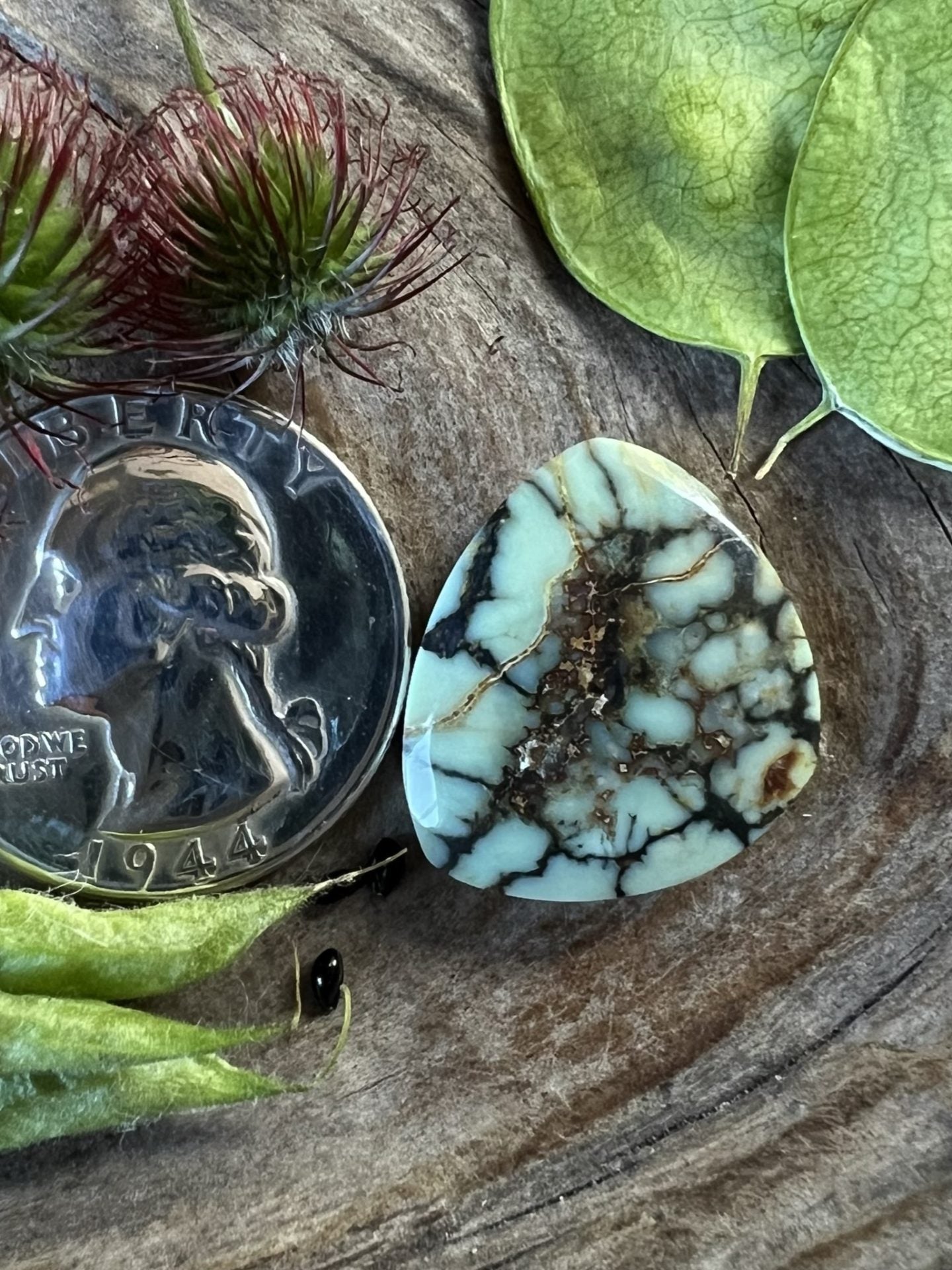 Seven Dwarfs Variscite BIG ~ Nevada