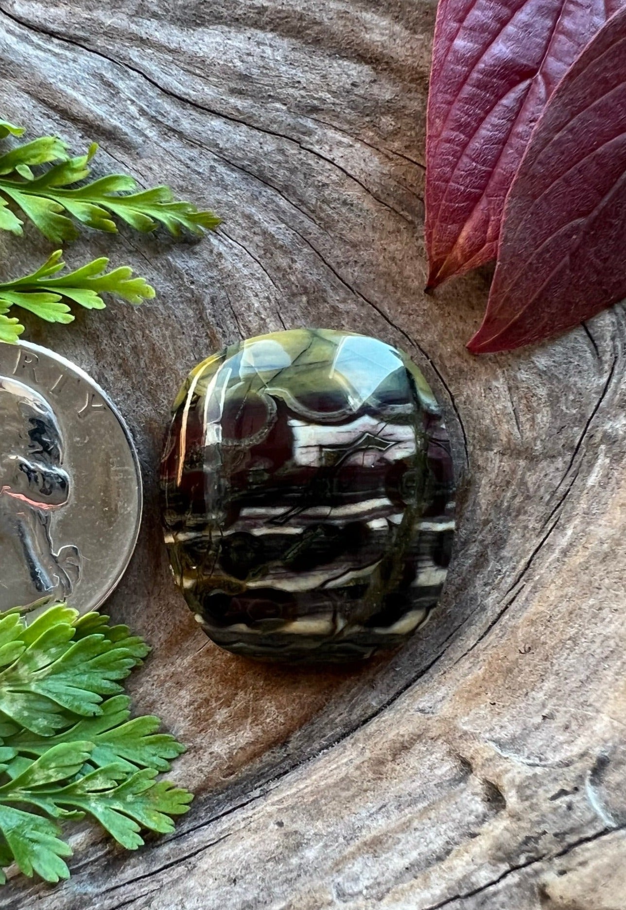 Super Rare Pope Creek Poppy Jasper ~ Calif