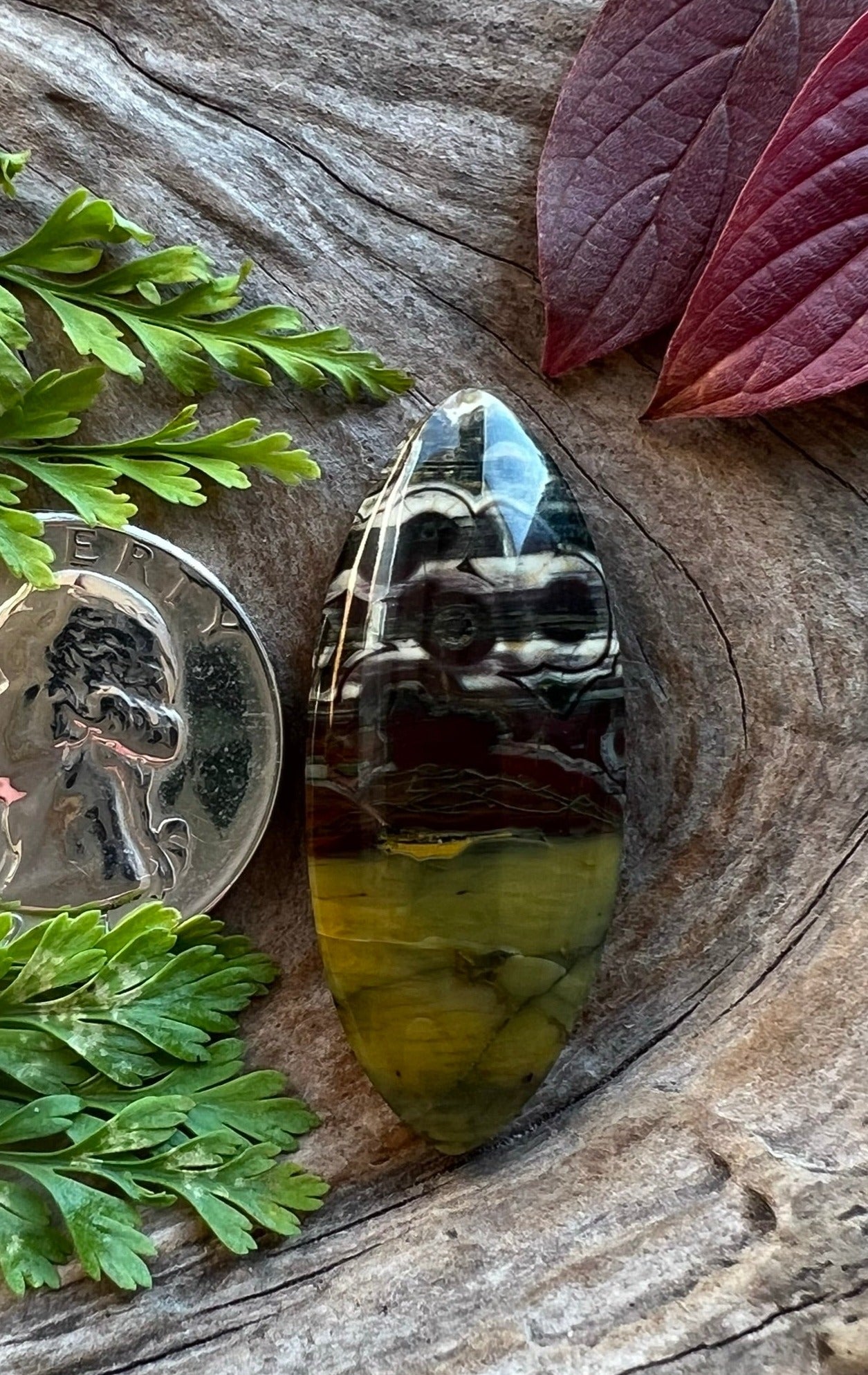 Super Rare Pope Creek Poppy Jasper ~ Calif ~ Huge