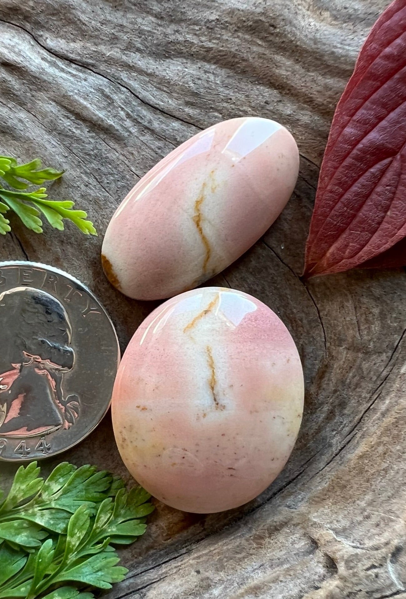 PINNNNNNK Oregon Sunset Jasper Duo (couldn't separate them)