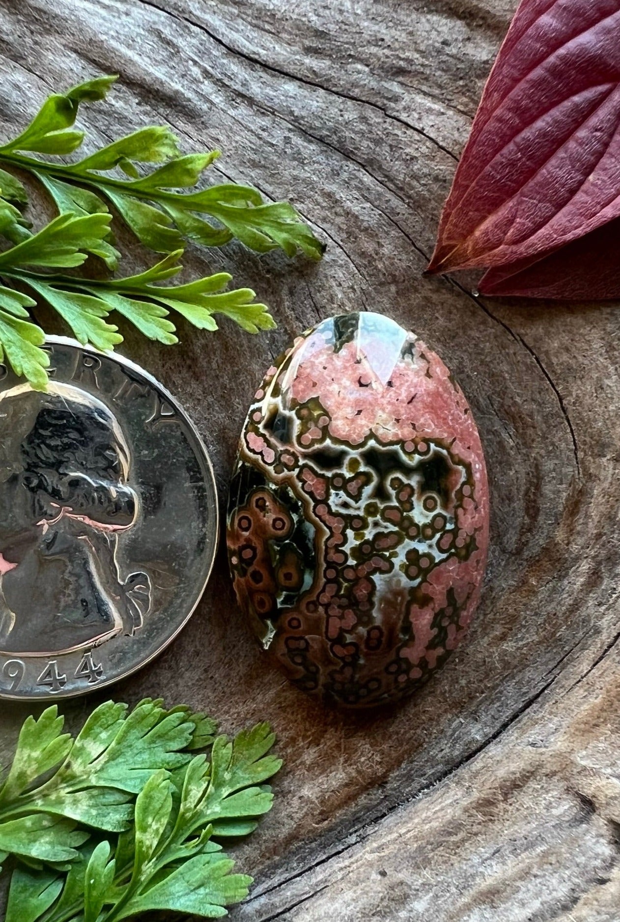 Ocean Jasper ~ Madagascar ~ Insane Beauty