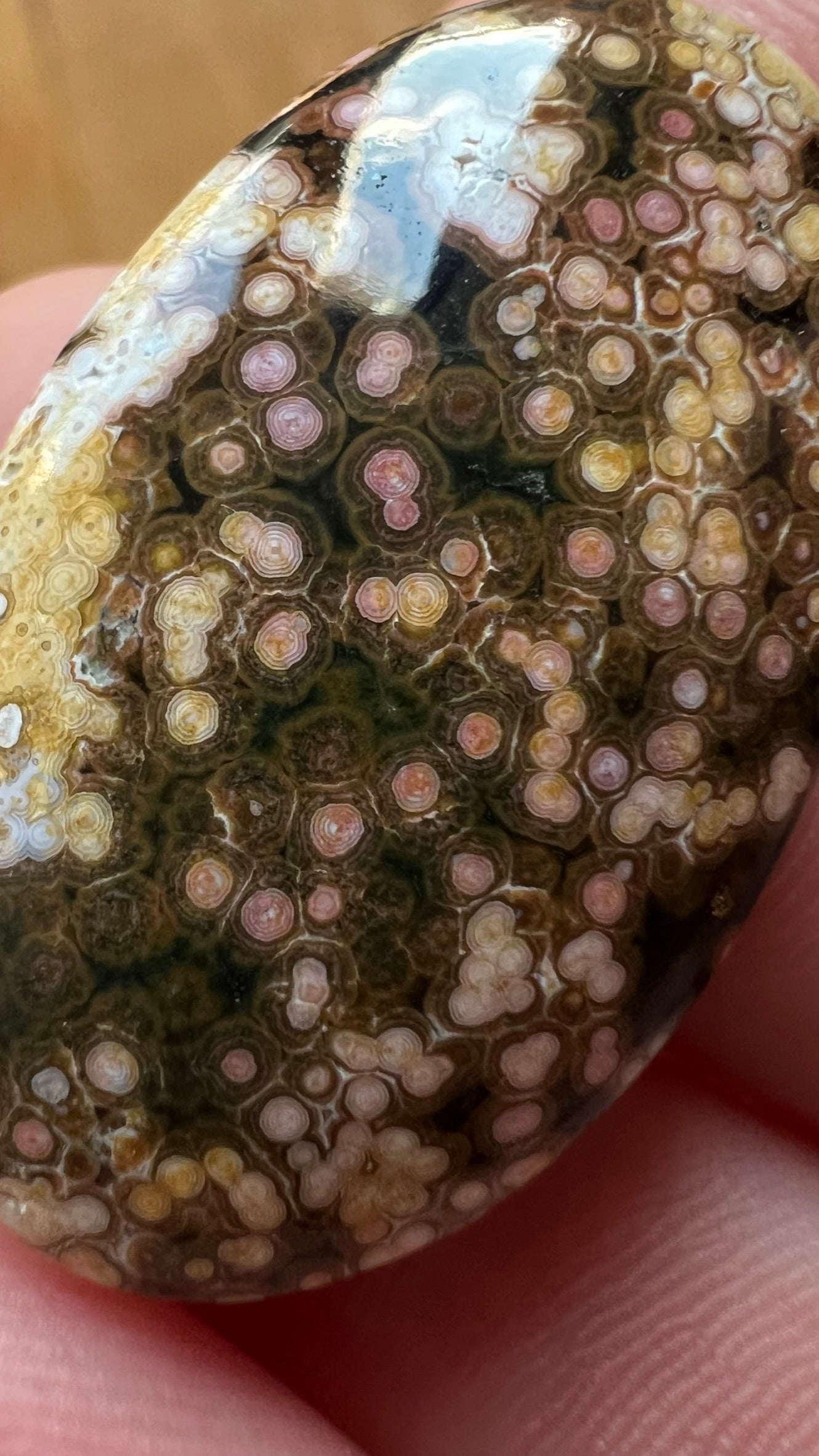 Ocean Jasper ~ Madagascar ~Orby biggie