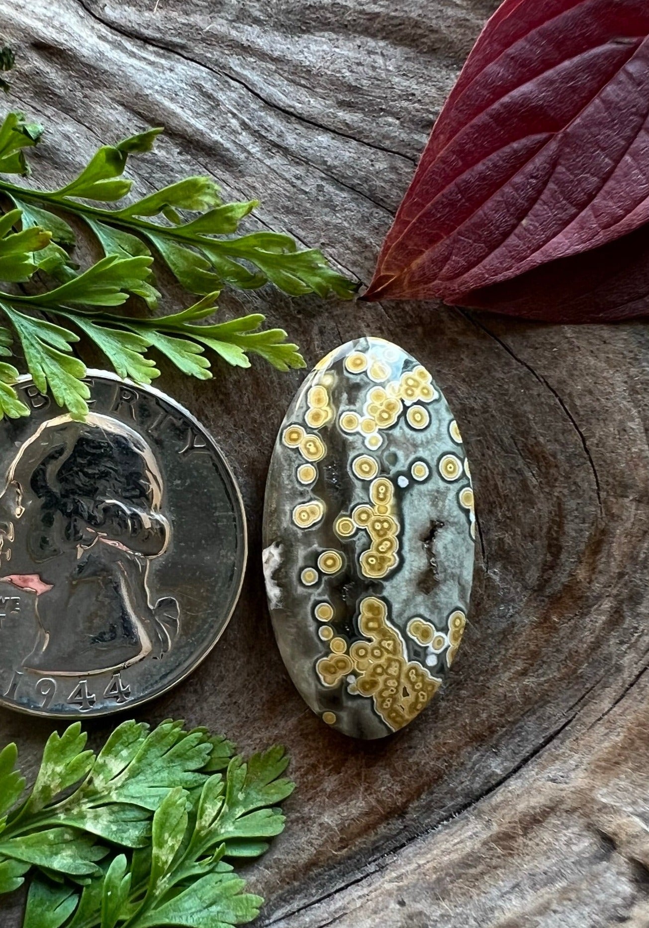 Ocean Jasper ~ Madagascar