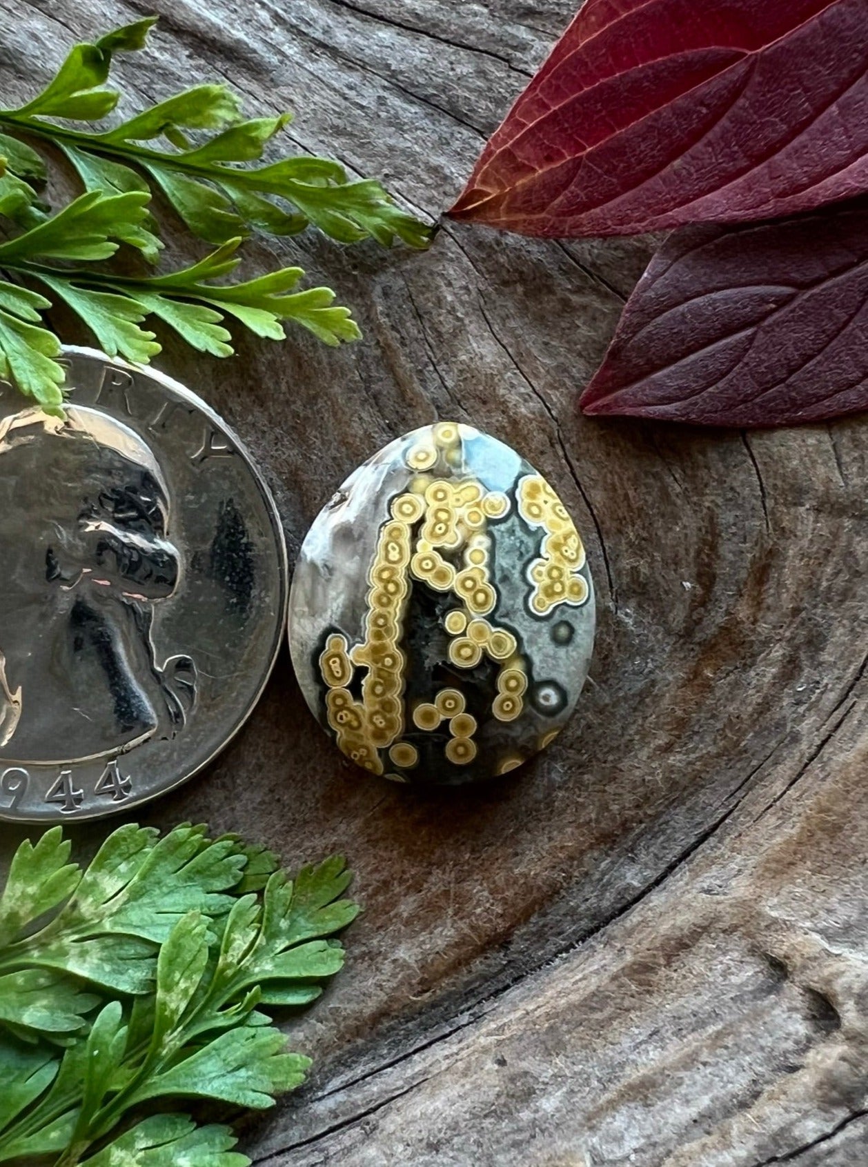 Ocean Jasper ~ Madagascar