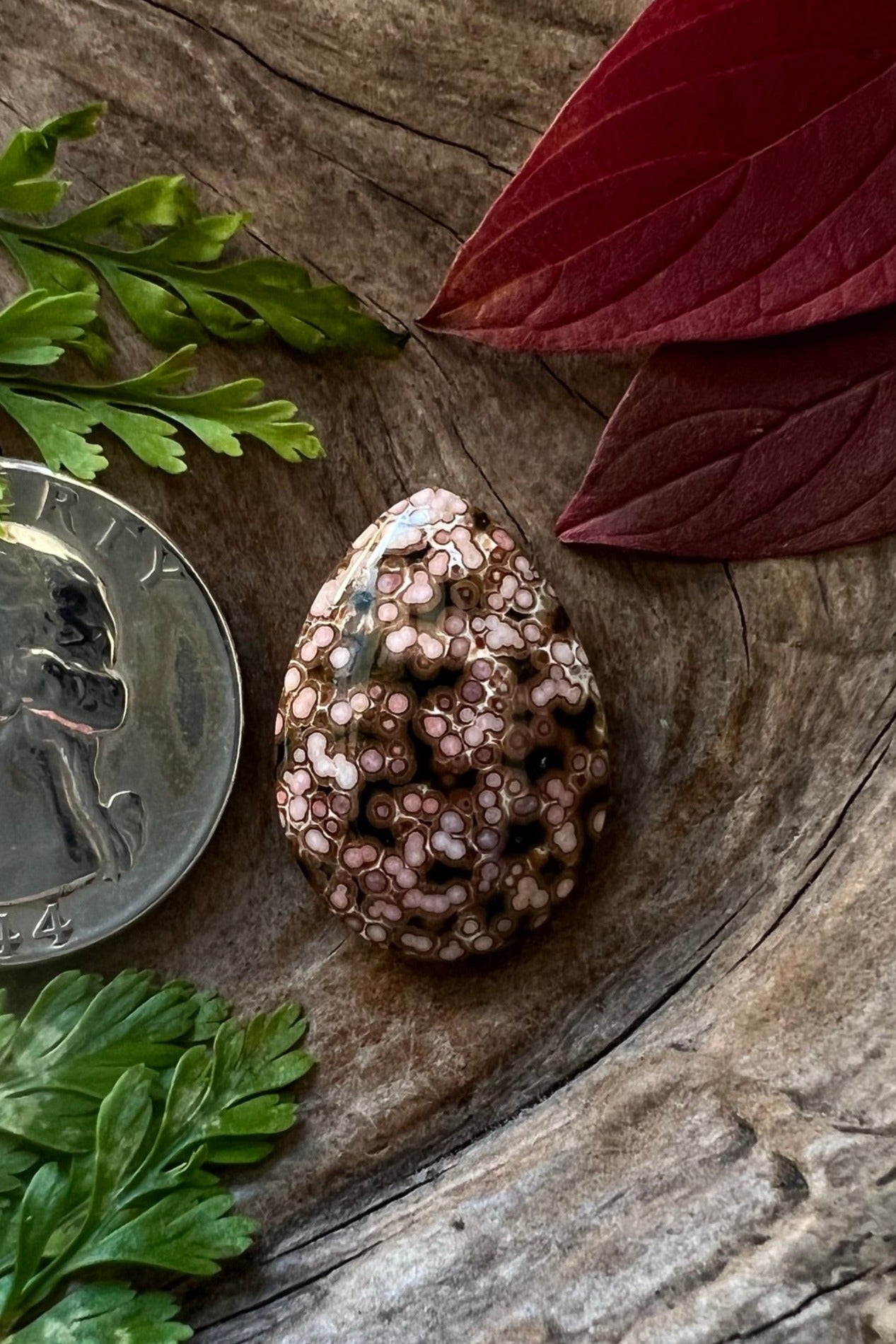 Ocean Jasper ~ Madagascar