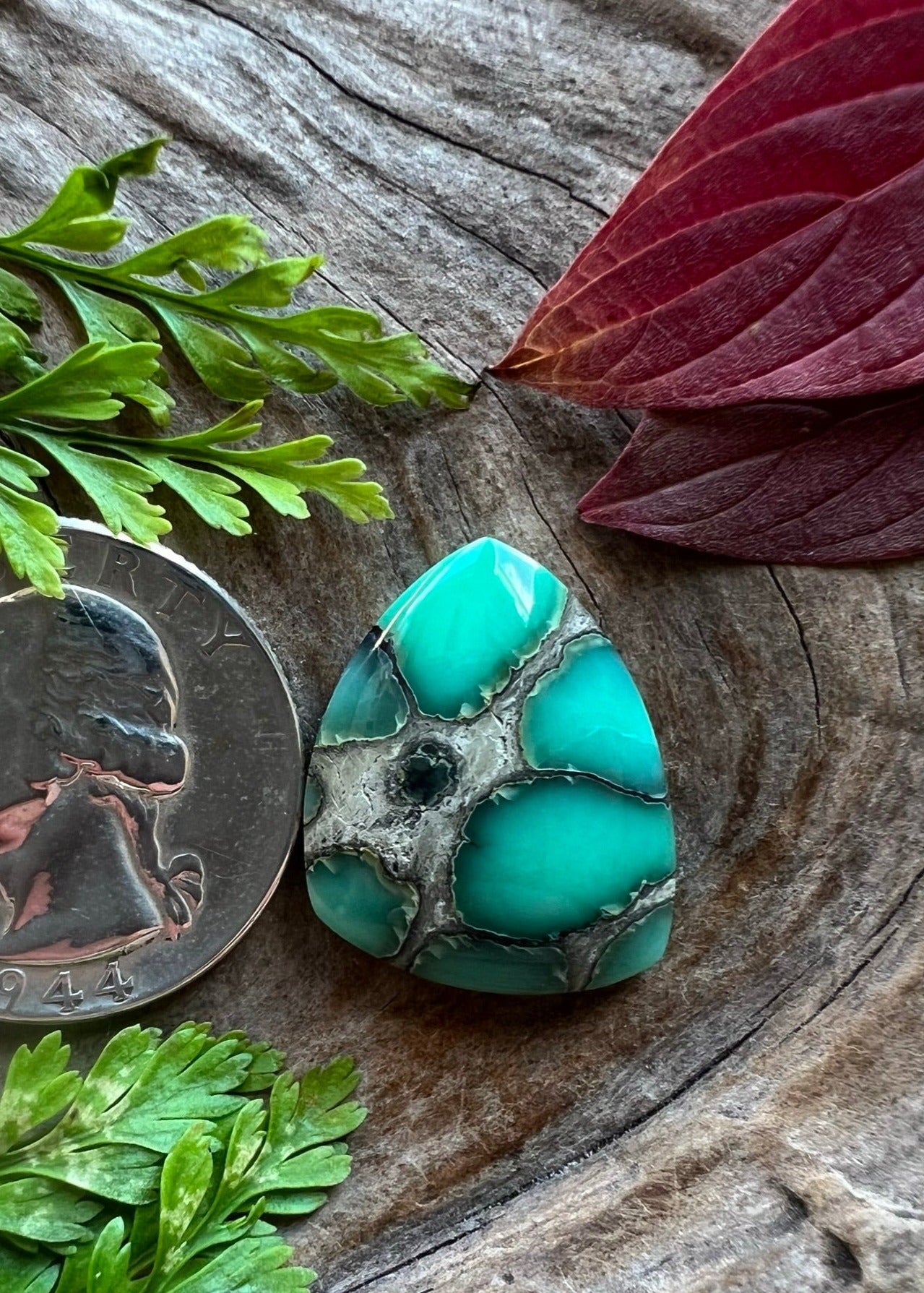 Desert Bloom Variscite ~ Nevada ~ Rest In Peace Rodney