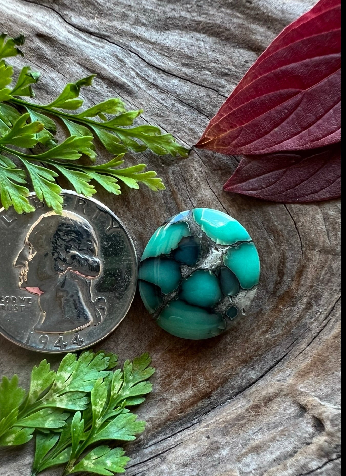 Desert Bloom Variscite ~ Nevada ~ Rest In Peace Rodney