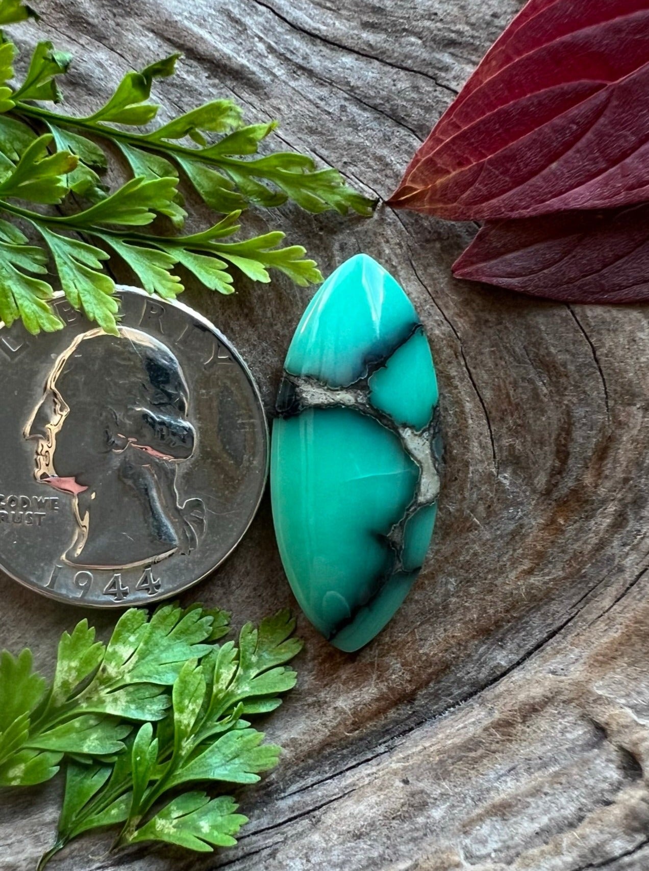 Desert Bloom Variscite ~ NV~ Natural Fracture ~ Rest In Peace Rodney