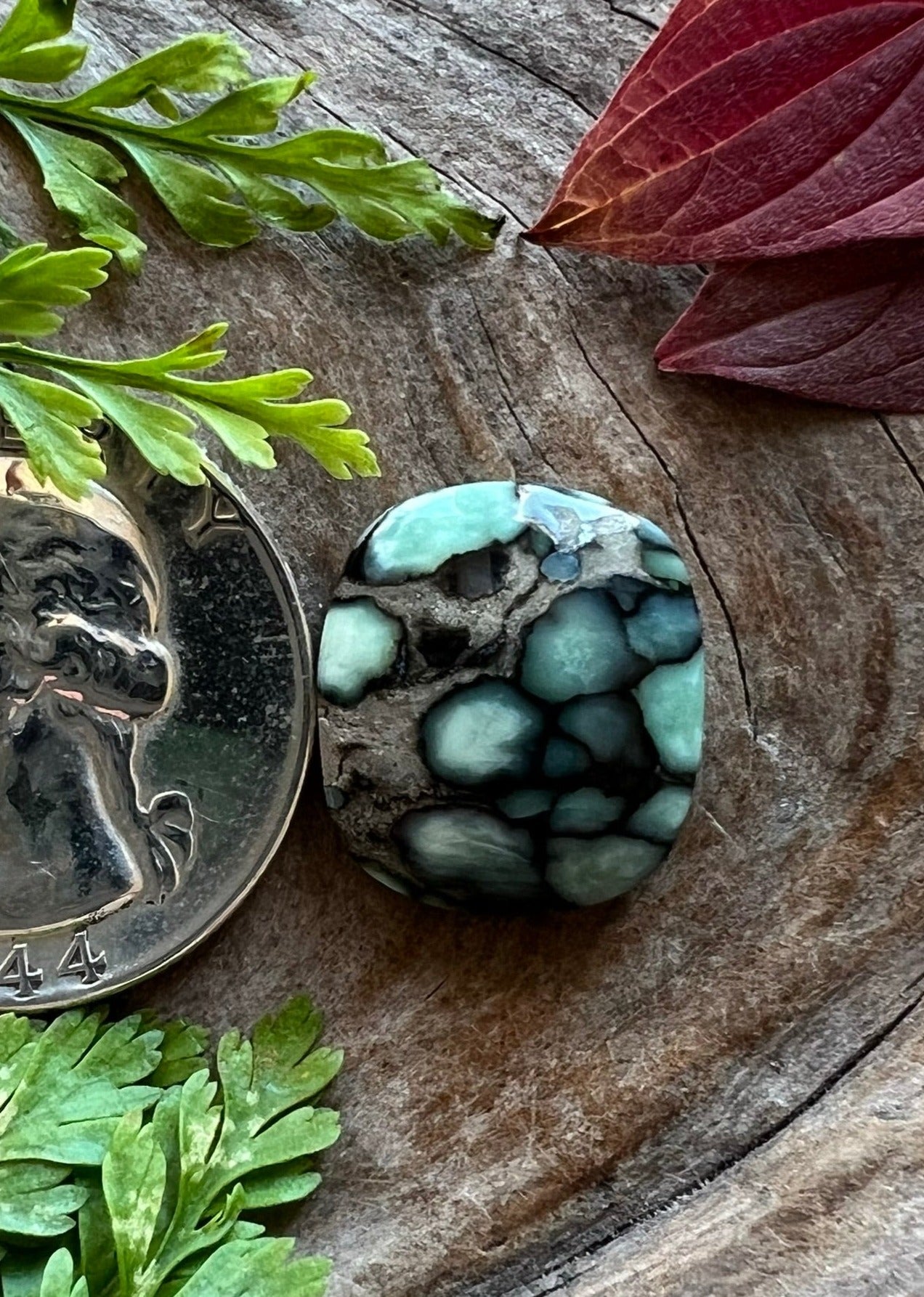 Desert Bloom Variscite ~ NV~ Rest In Peace Rodney