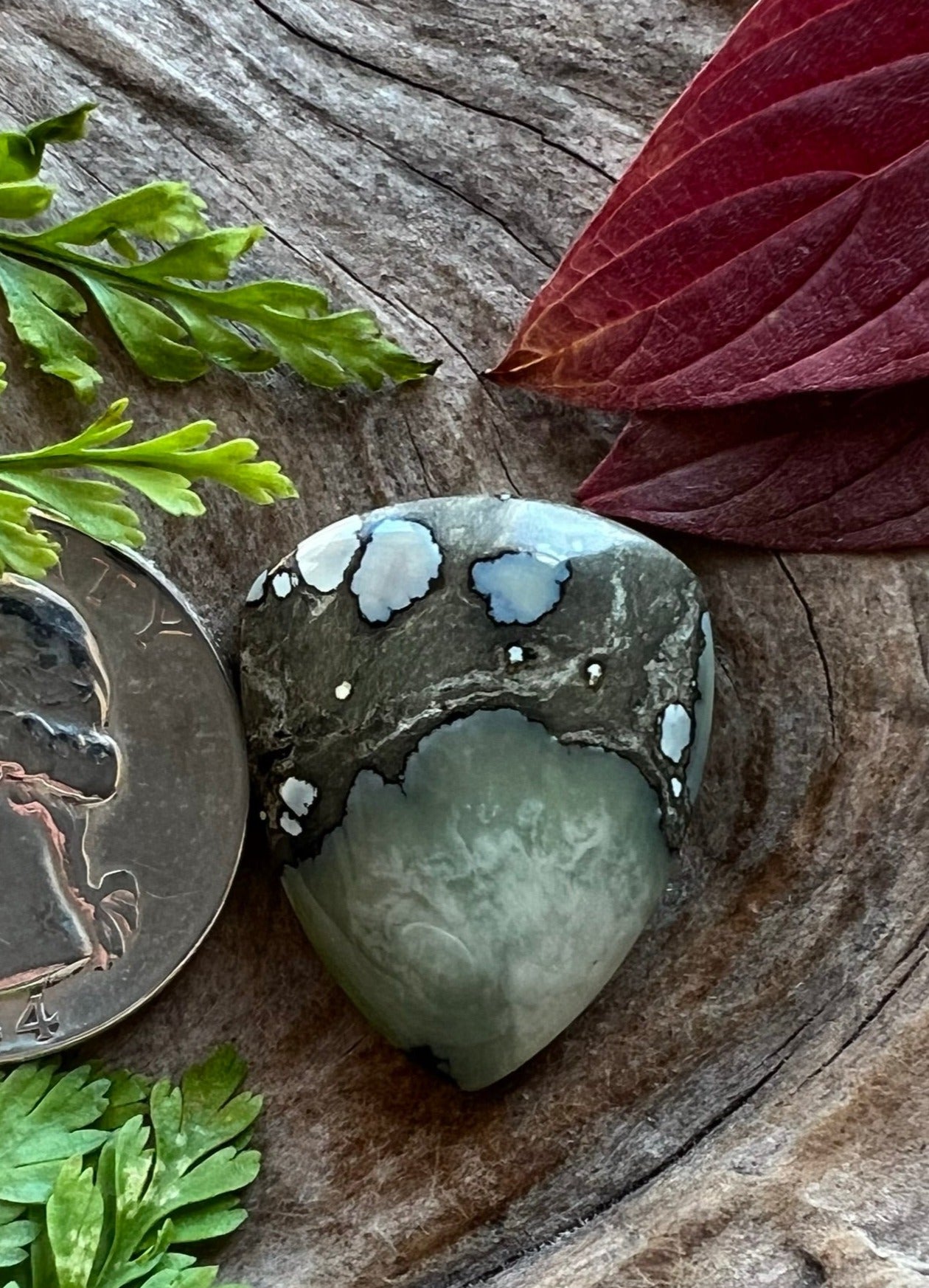 Desert Bloom Variscite ~ NV~ Rest In Peace Rodney