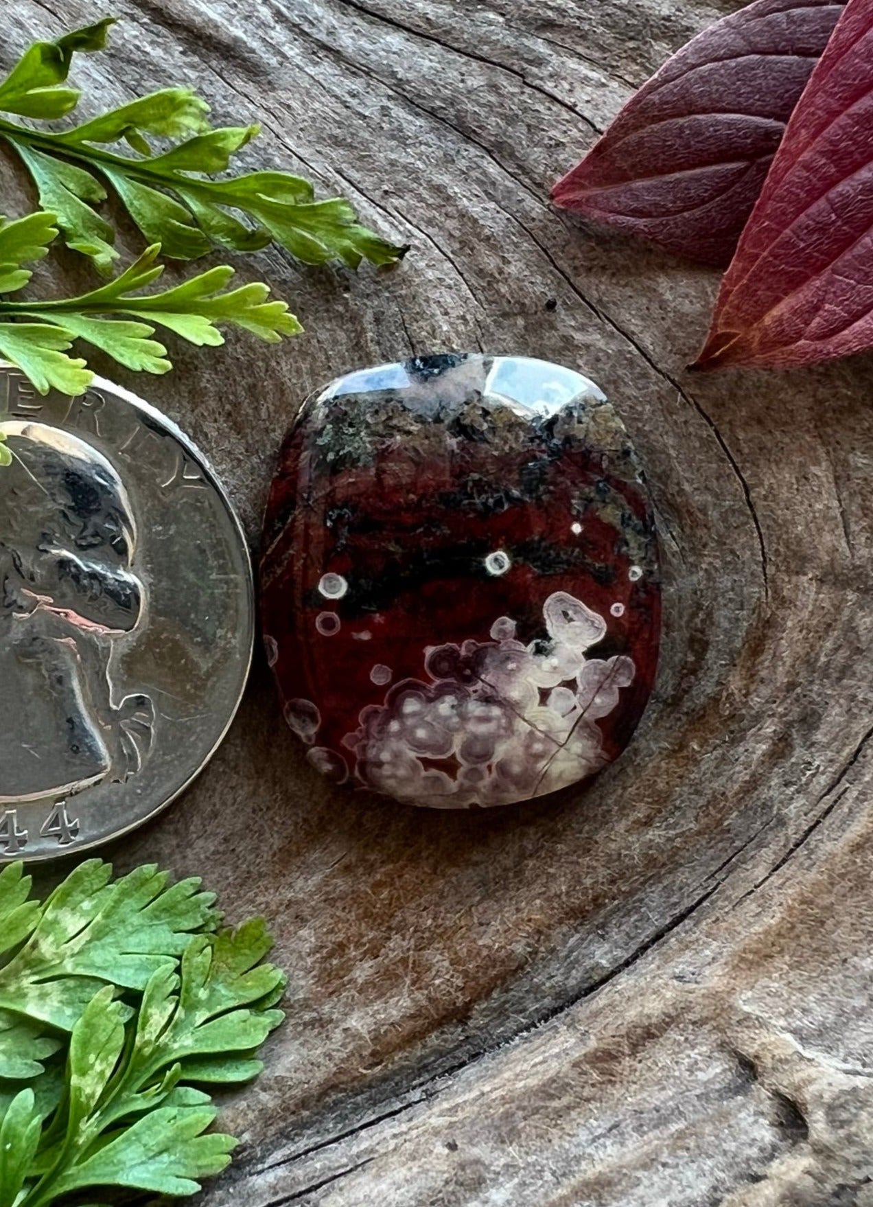 Guadalupe Poppy Jasper ~ Calif