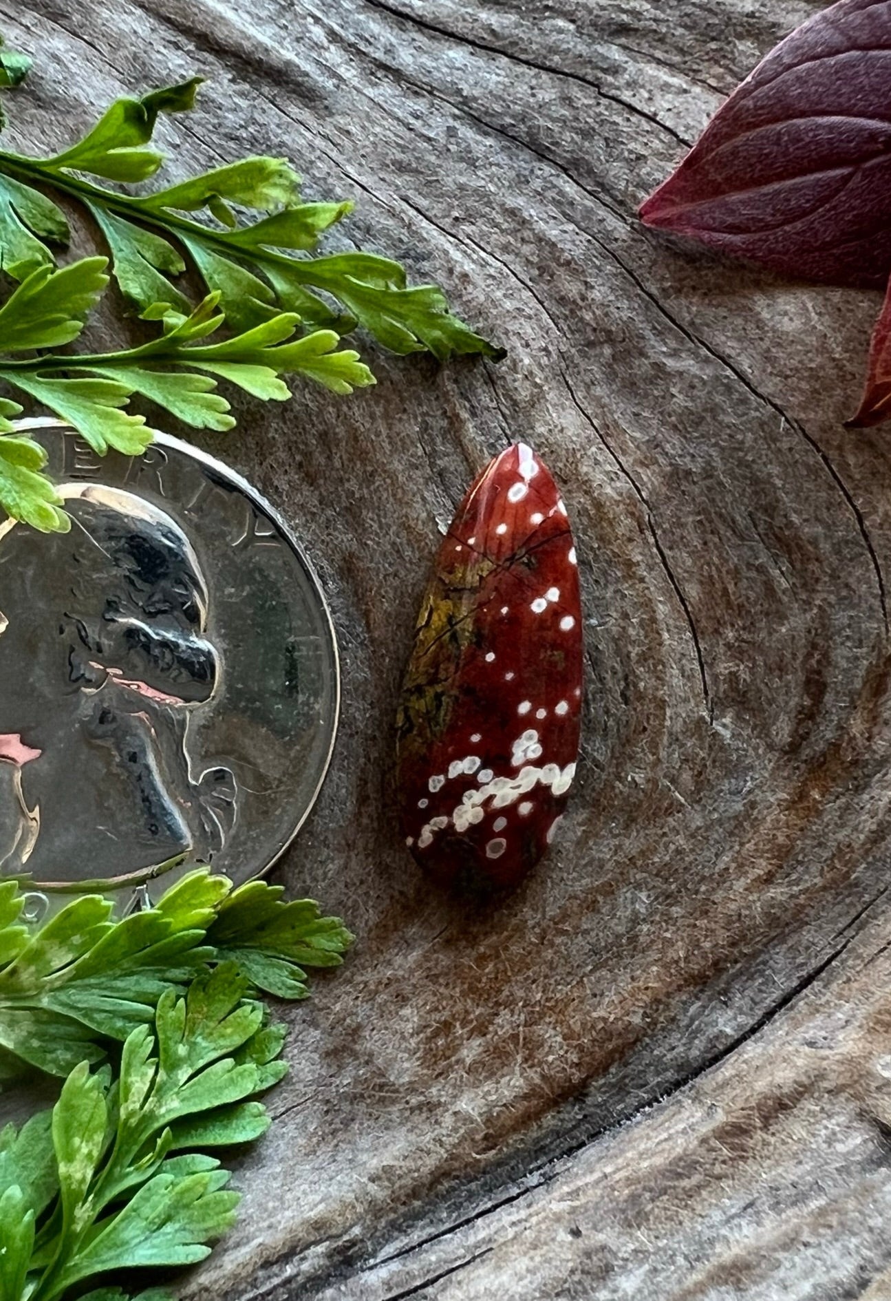Guadalupe Poppy Jasper ~ Calif