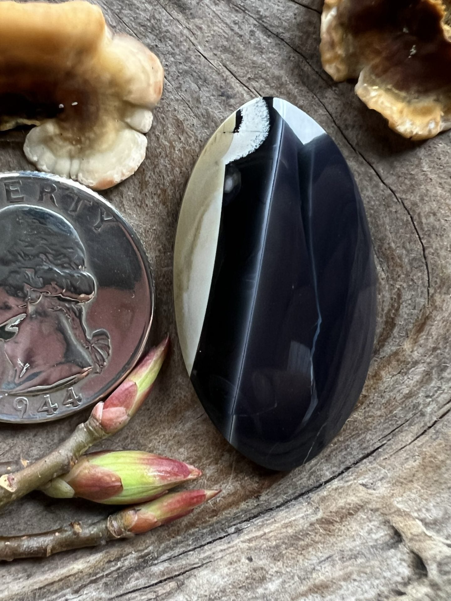 Big Rare Fryite Jasper