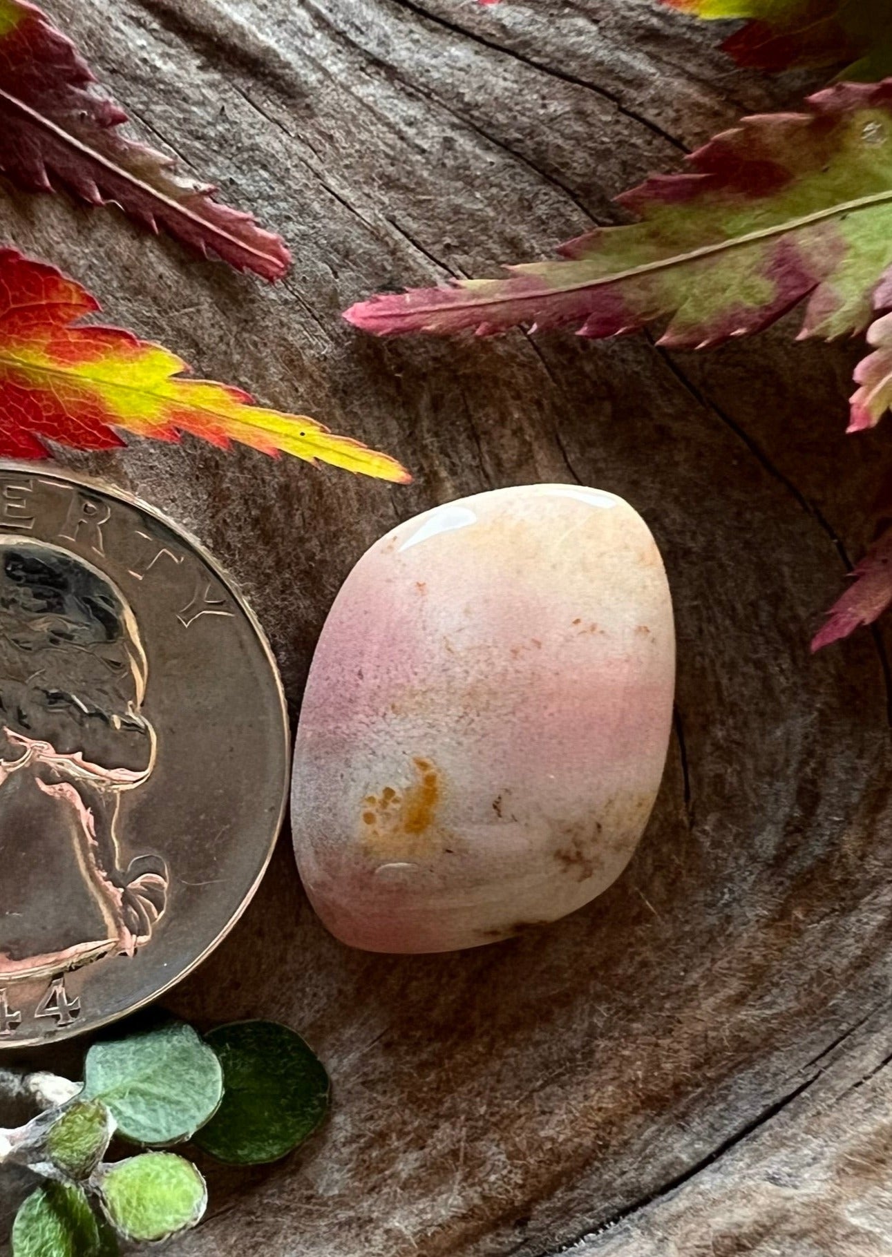 Oregon Sunset Jasper ~ Pink/Yellow/White