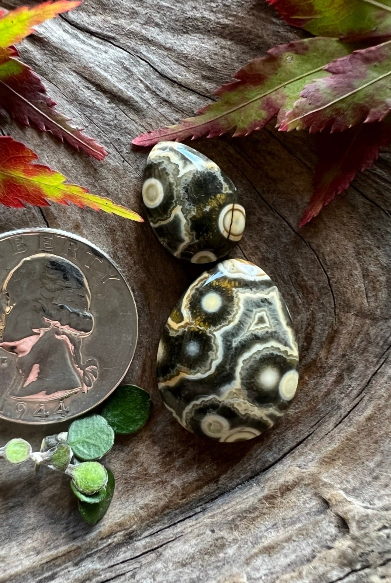 Super Rare Pope Creek Poppy Jasper DUO ~ Calif ~