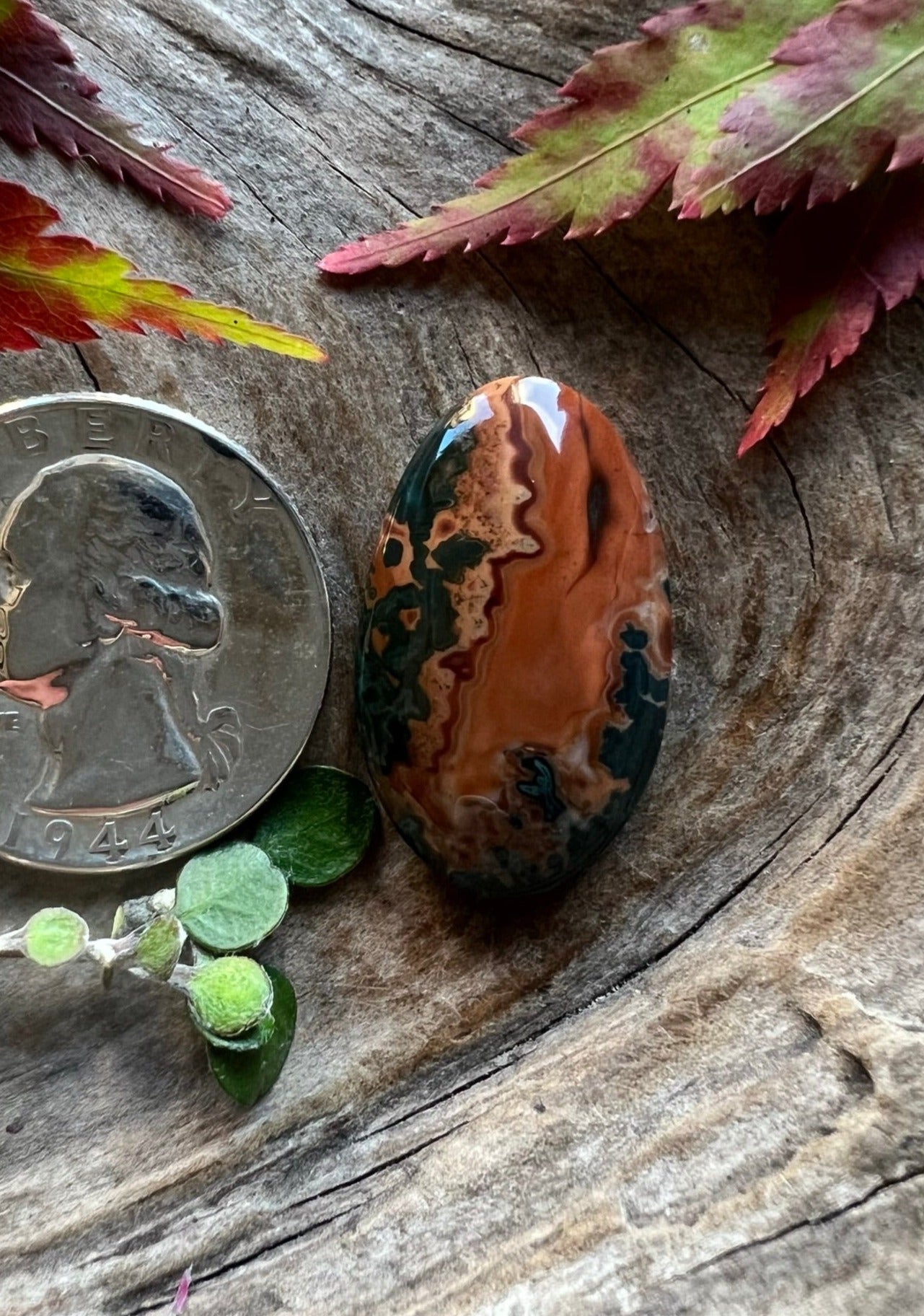 Mean Green Seam Jasper ~ Idaho ~ Deep Orange/Green