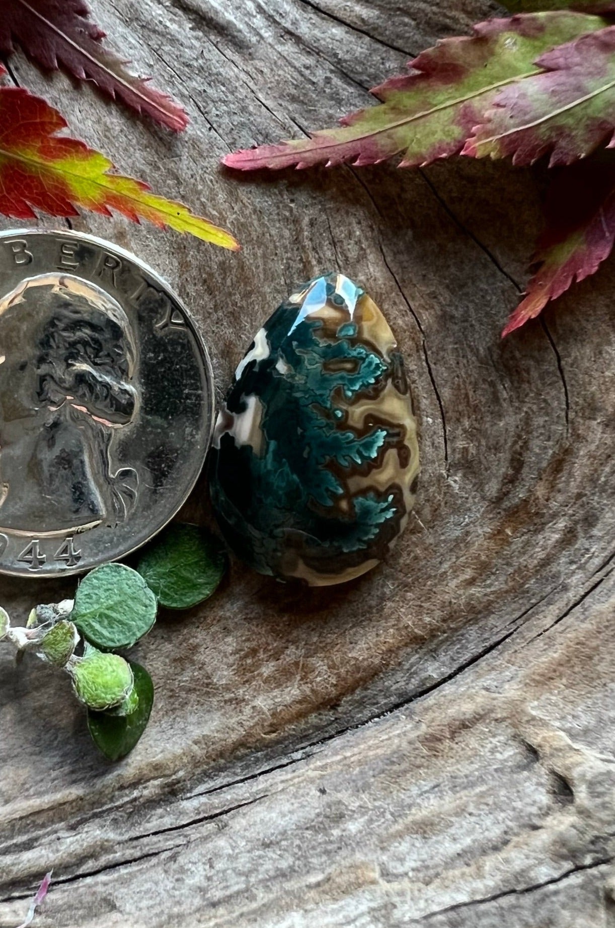 Mean Green Seam Jasper ~ Idaho ~ Wild colors